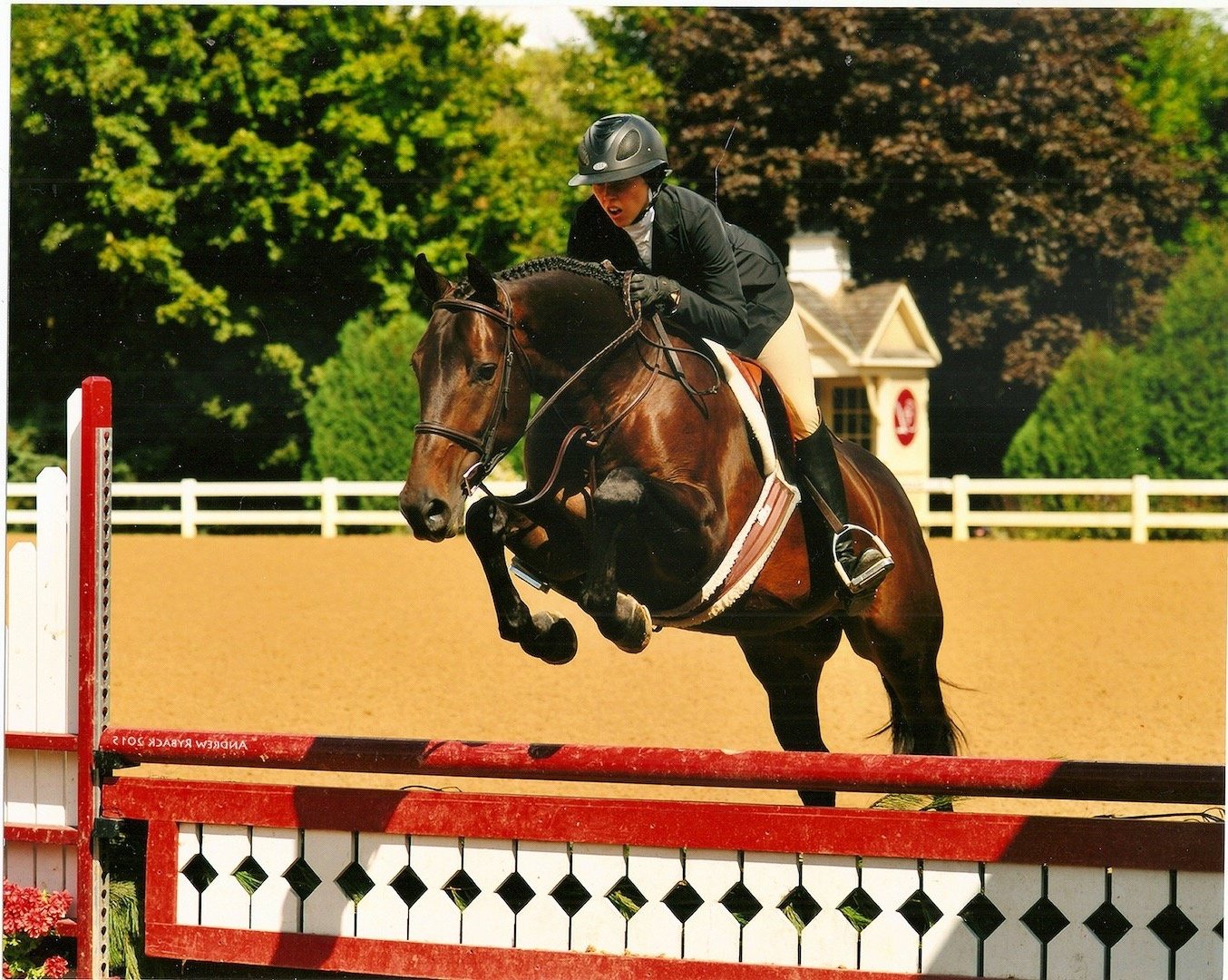 A person riding a horse jumps over a red obstacle during a riding competition outdoors, with trees and a small building in the background.