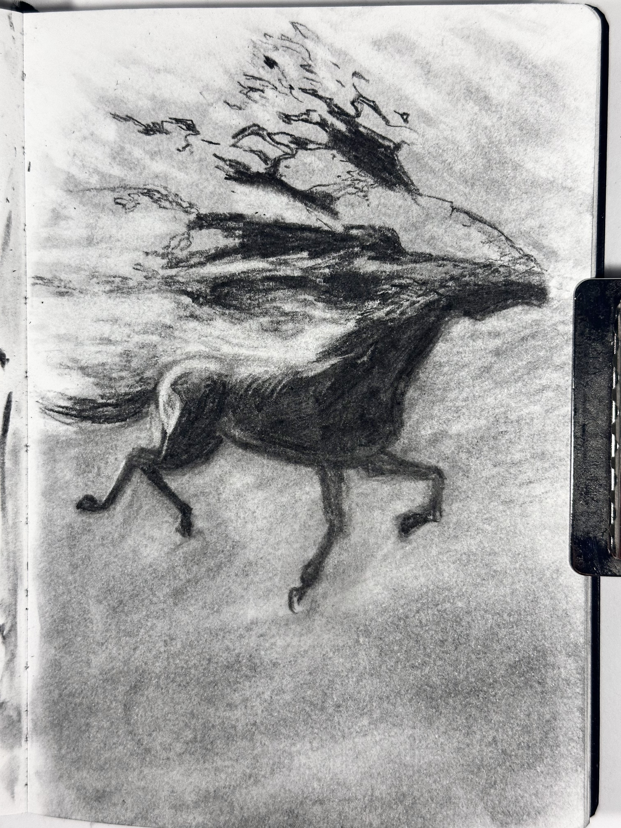 HORSE.png