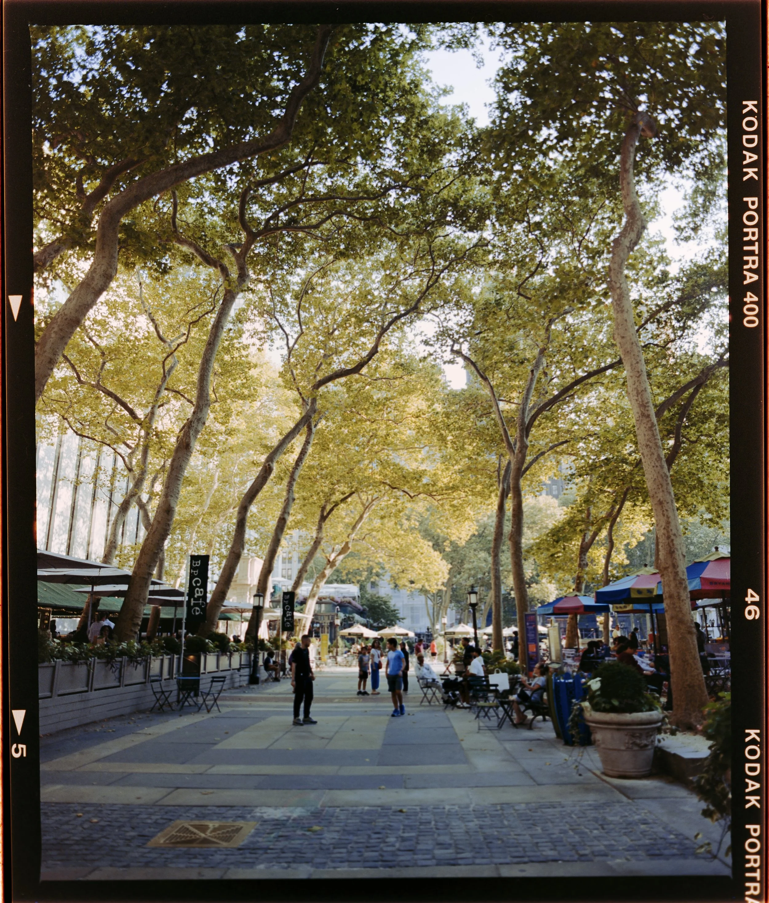P1069442-2.jpg