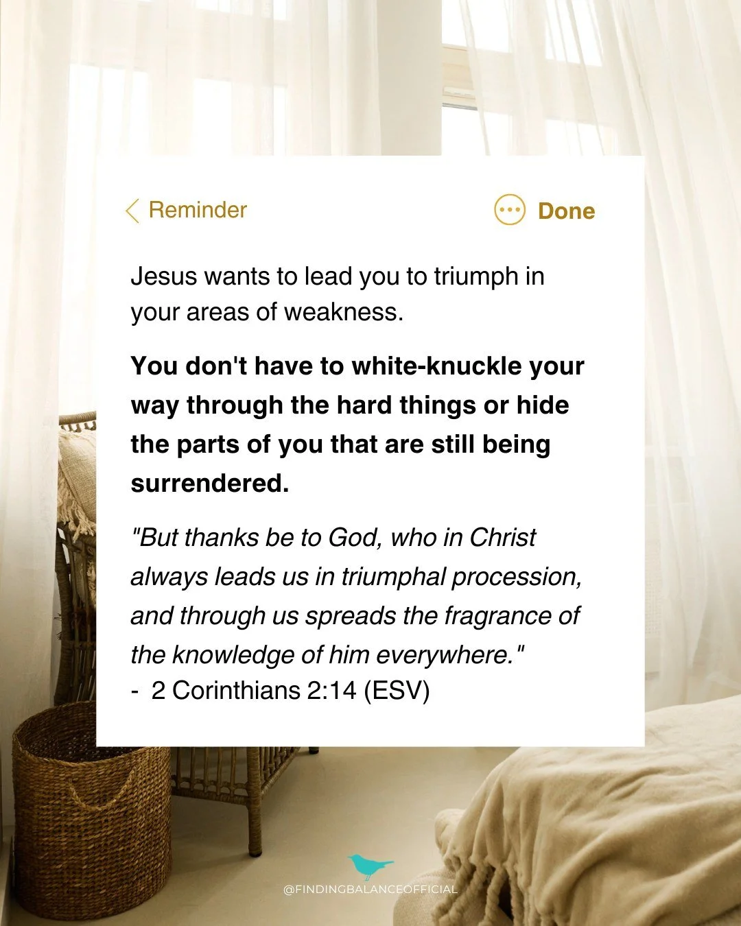 Every interaction you have with others is an opportunity to reflect the Truth you know. Your life is a testament to Who you put your trust in.

Give thanks in the midst of trials. Celebrate His goodness when things are going well. And ask God for str