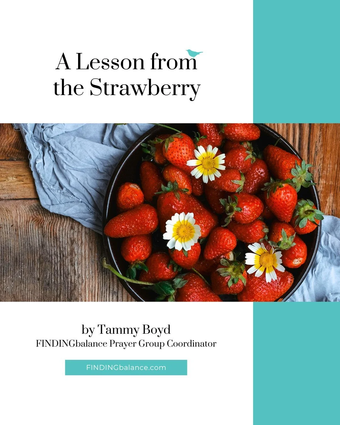 "I stood in the kitchen pondering this lesson. This freedom journey can be so hard. The winter months drag on for what seems like forever. I so quickly impatient and jump to quick fixes. I conjure up behaviors that make my heart look free or my 