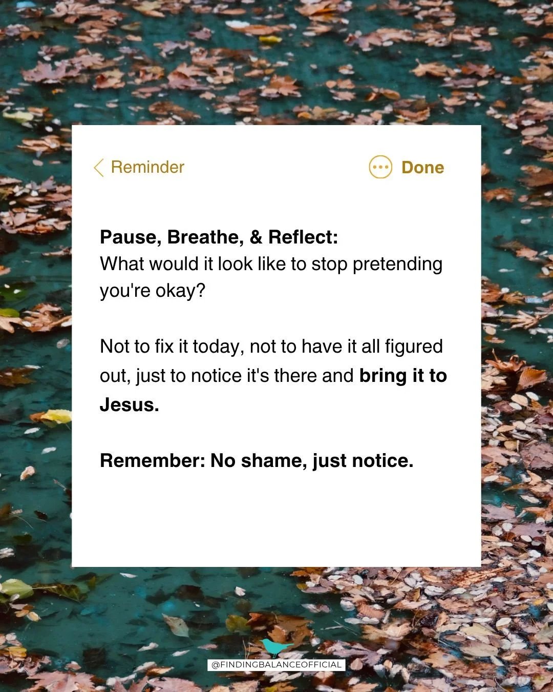 You may change your mind about yourself from one day to the next. God doesn't. 🤍

People can be fickle, and it's easy to let the scale or the fear of disappointing others decide how valuable you feel. But your weight has nothing to do with your wort