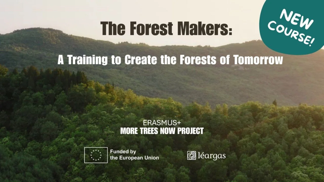 The Forest Makers Course