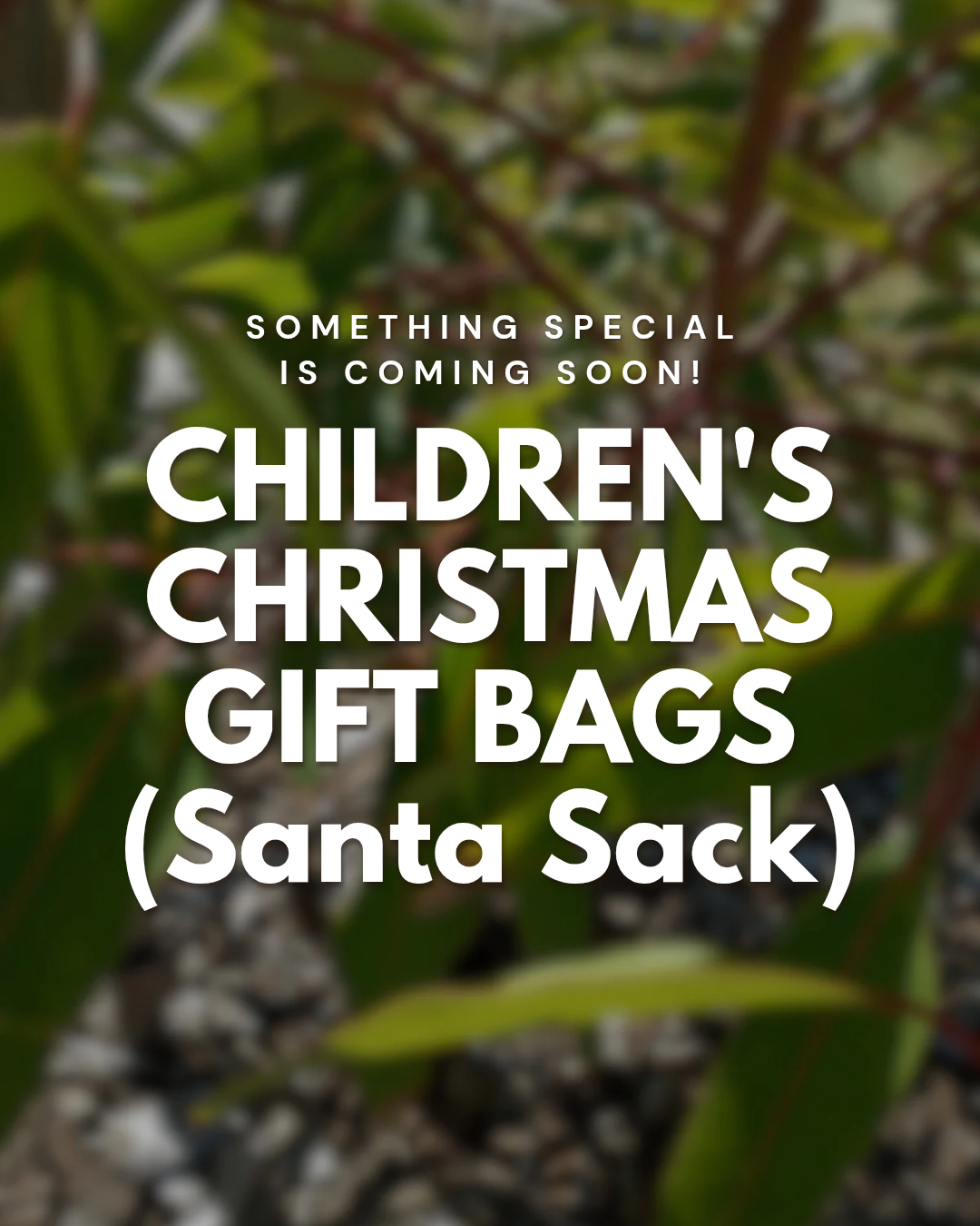 Lisa Spargo Textiles_20251120_065059_0002.png