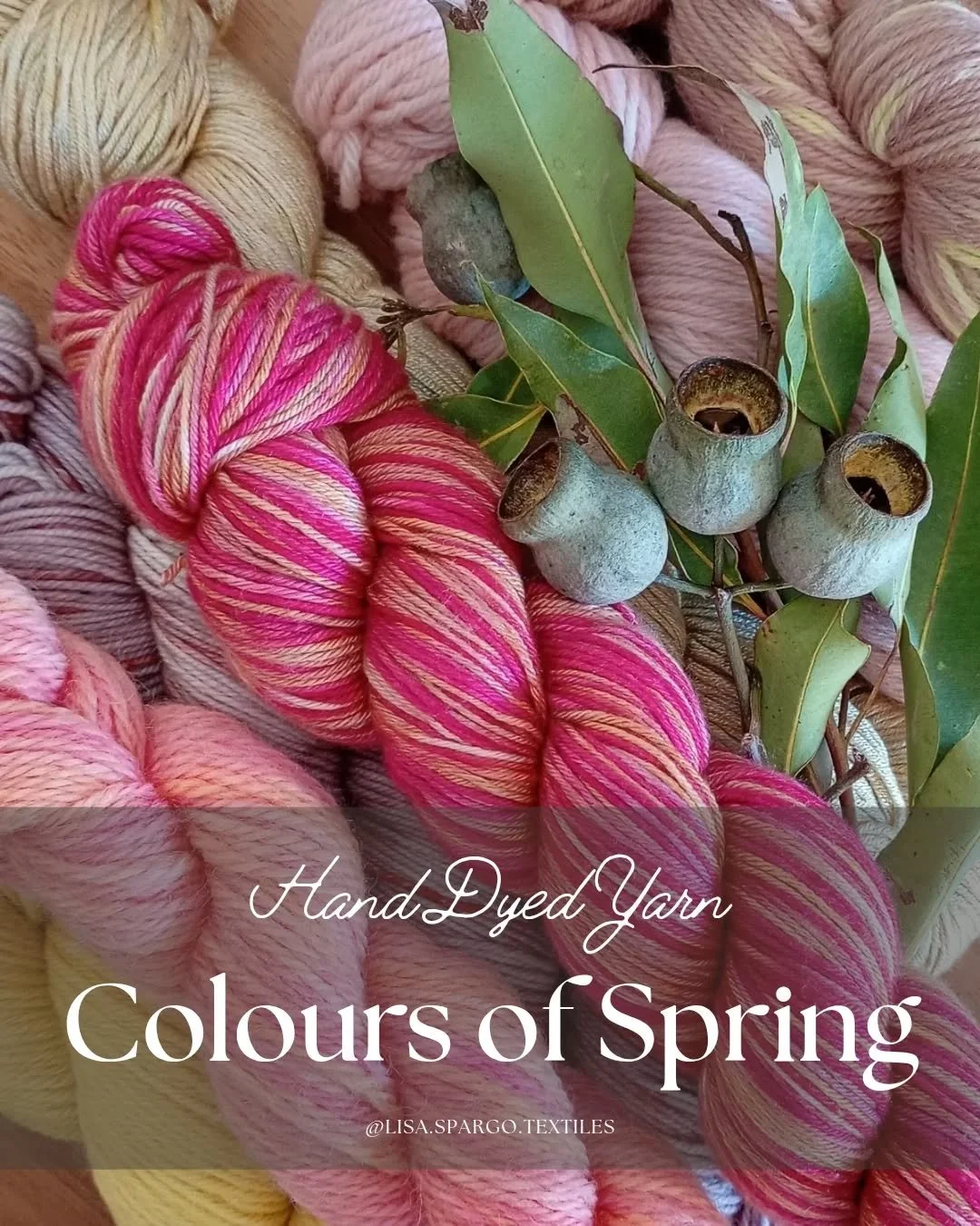 Colours of Spring • These bright and cheerful colourways definitely have a Spring feel to them. 
Did you Know? Each of my hand dyed yarn colourways are inspired by native Australian flora, and I'm always looking to the garden for new inspiratio