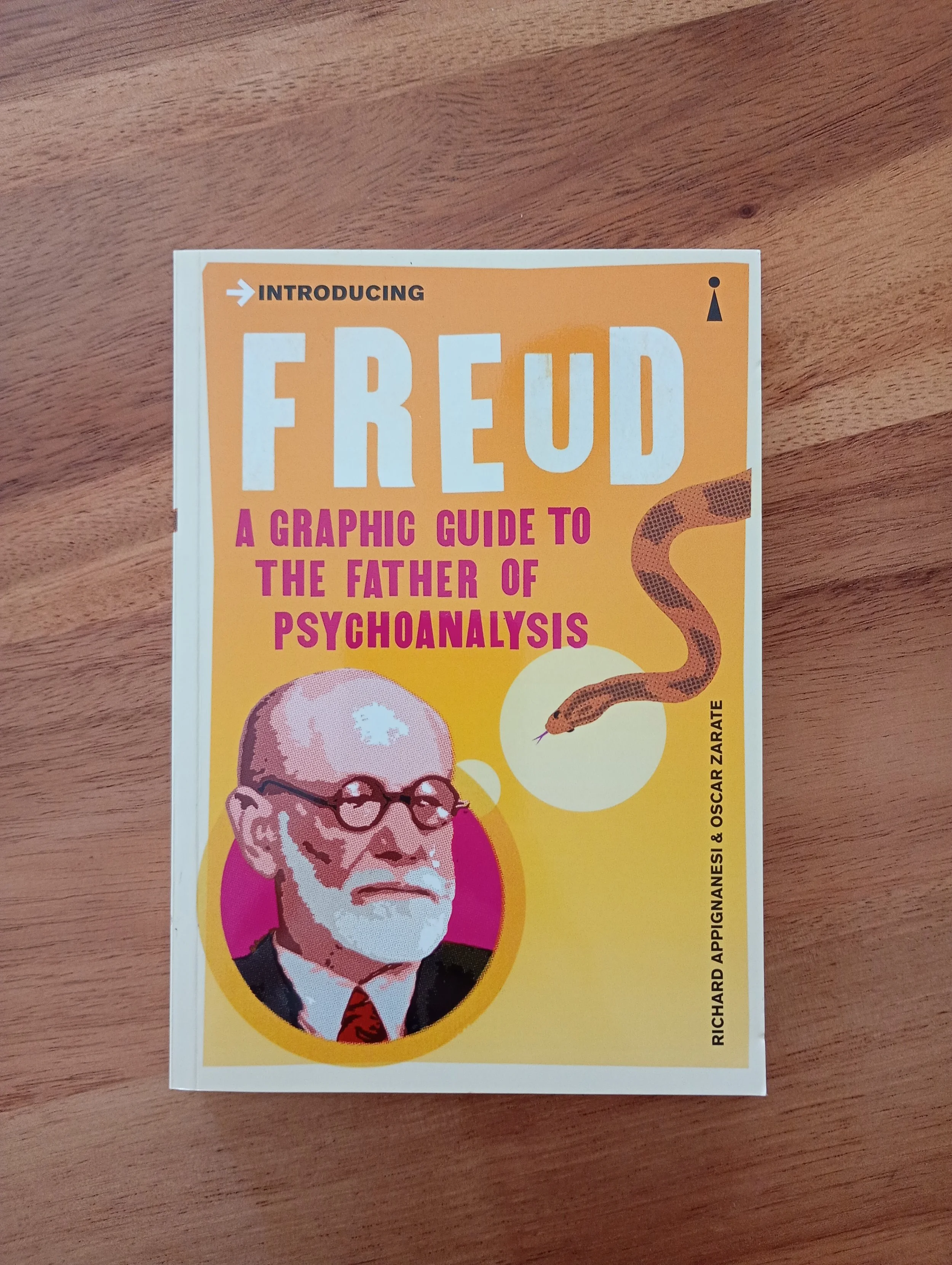Introducing Freud: A Graphic Guide to the Father of Psychoanalysis