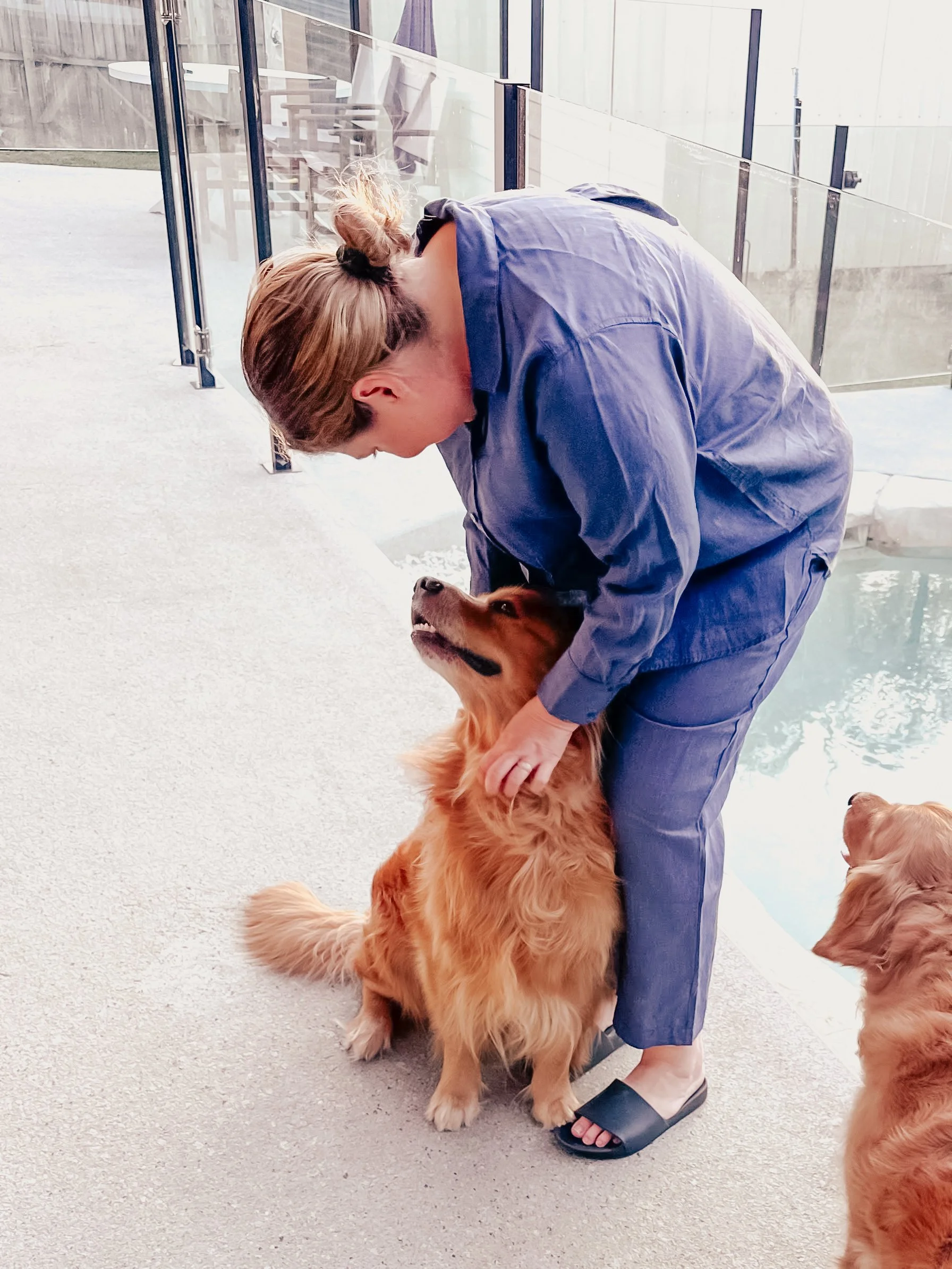 A woman in blue scrubs or casual clothing petting a large golden retriever dog while standing on a patio or balcony. There are other dogs nearby and outdoor furniture in the background.