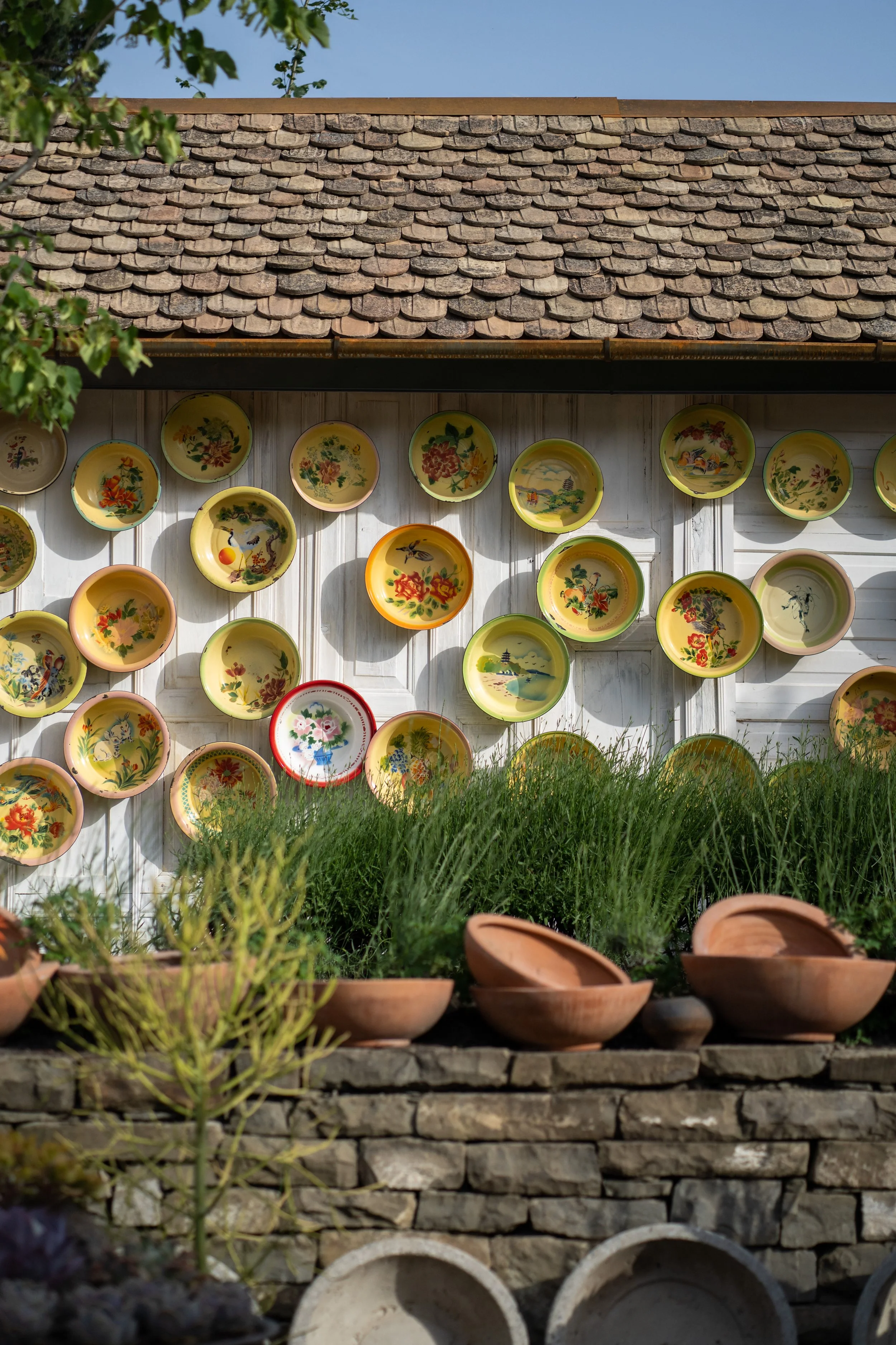 enamelware-used-basin-with-patterns-on-wooden-wall-2026-03-19-23-16-04-utc.jpg