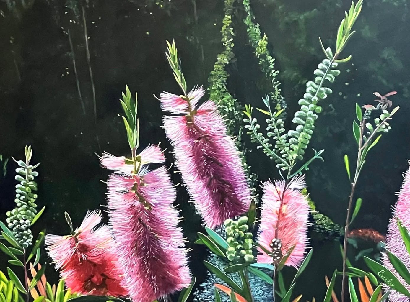 One of the latest beautiful pieces from @cecilyslade is in the gallery and online now.

Sunlit Silhouettes depicts a beautiful Toowoomba soft pink bottle brush backlit from the morning sunshine, rich in textural foliage and leaves blazing with native