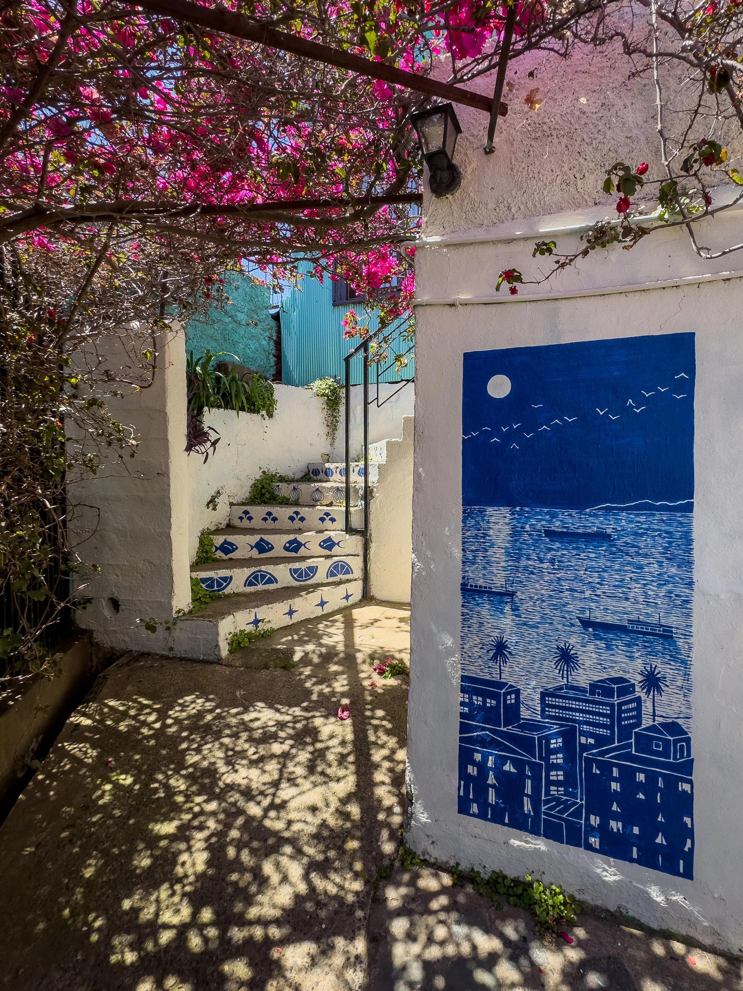 Cerro Bellavista - Valparaíso, Chile