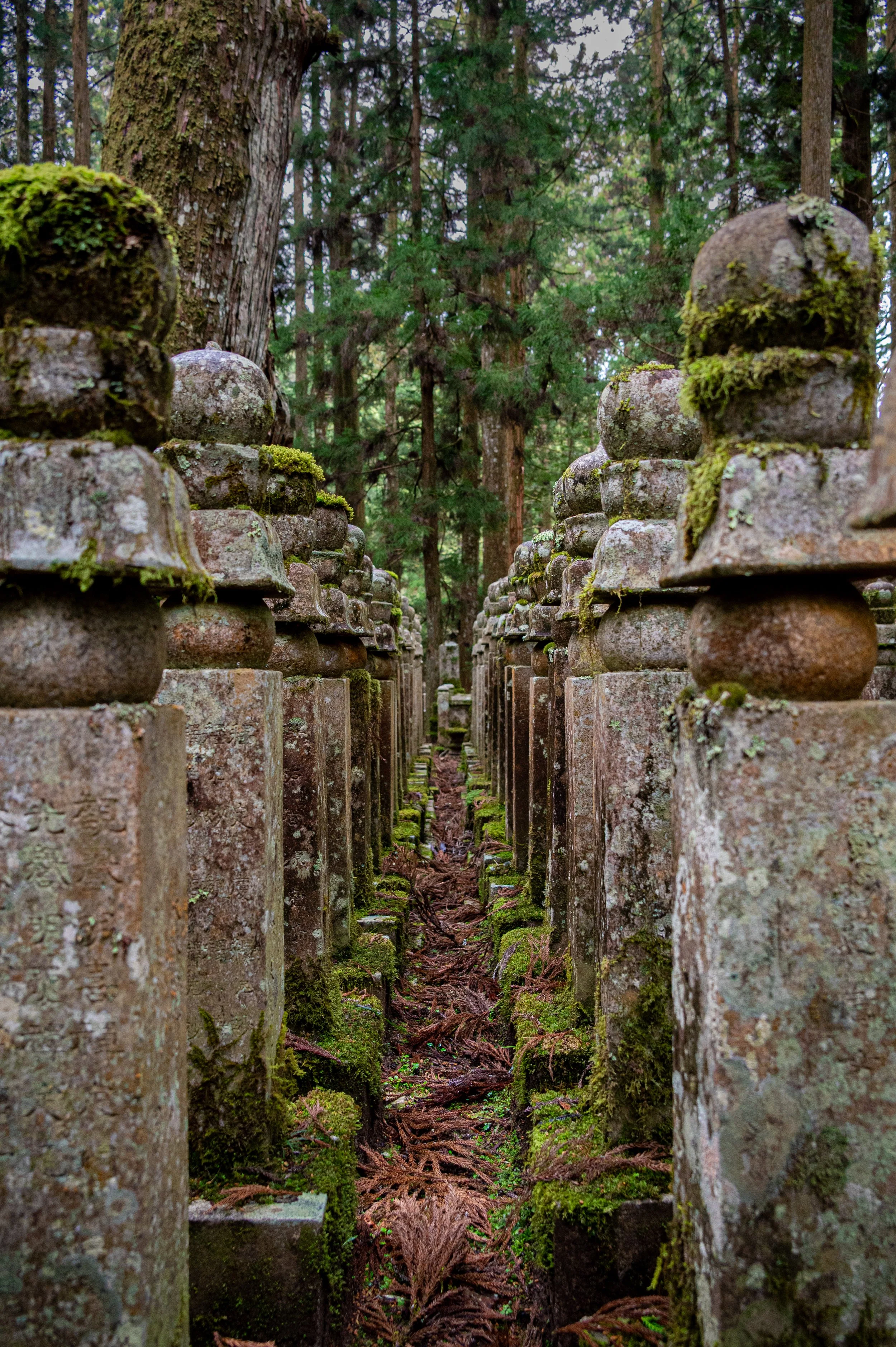 Okunoin Cemetery - Kōyasan, Wakayama, Japan