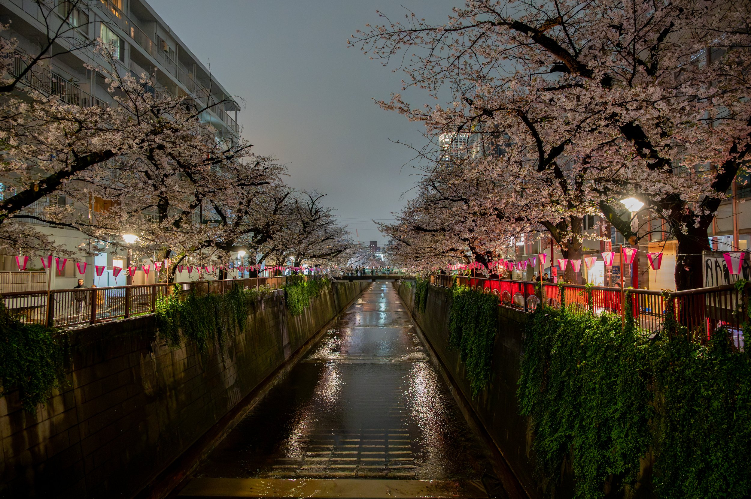 Meguro River - Meguro, Tokyo, Japan