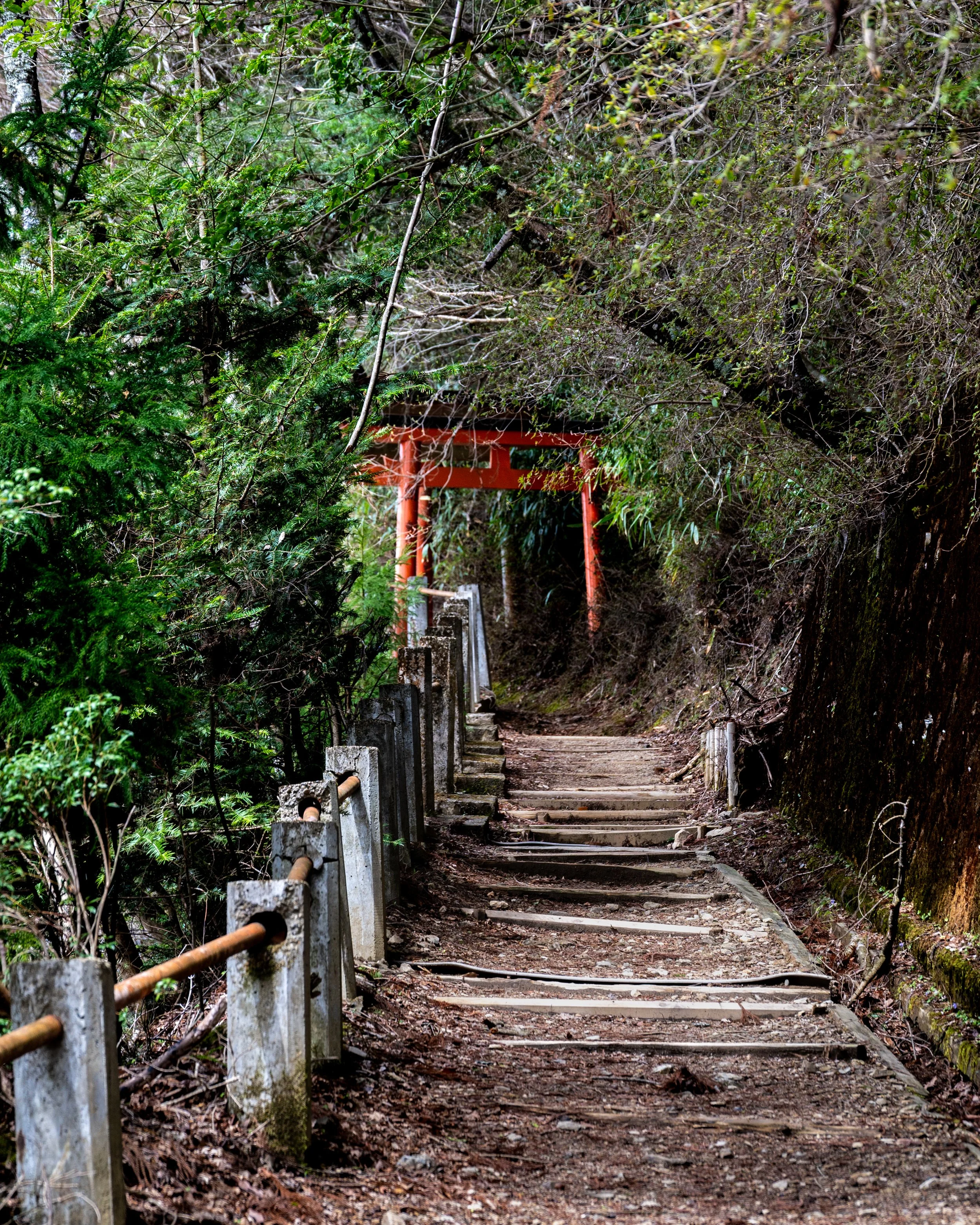Dai-mon - Kōyasan, Wakayama, Japan