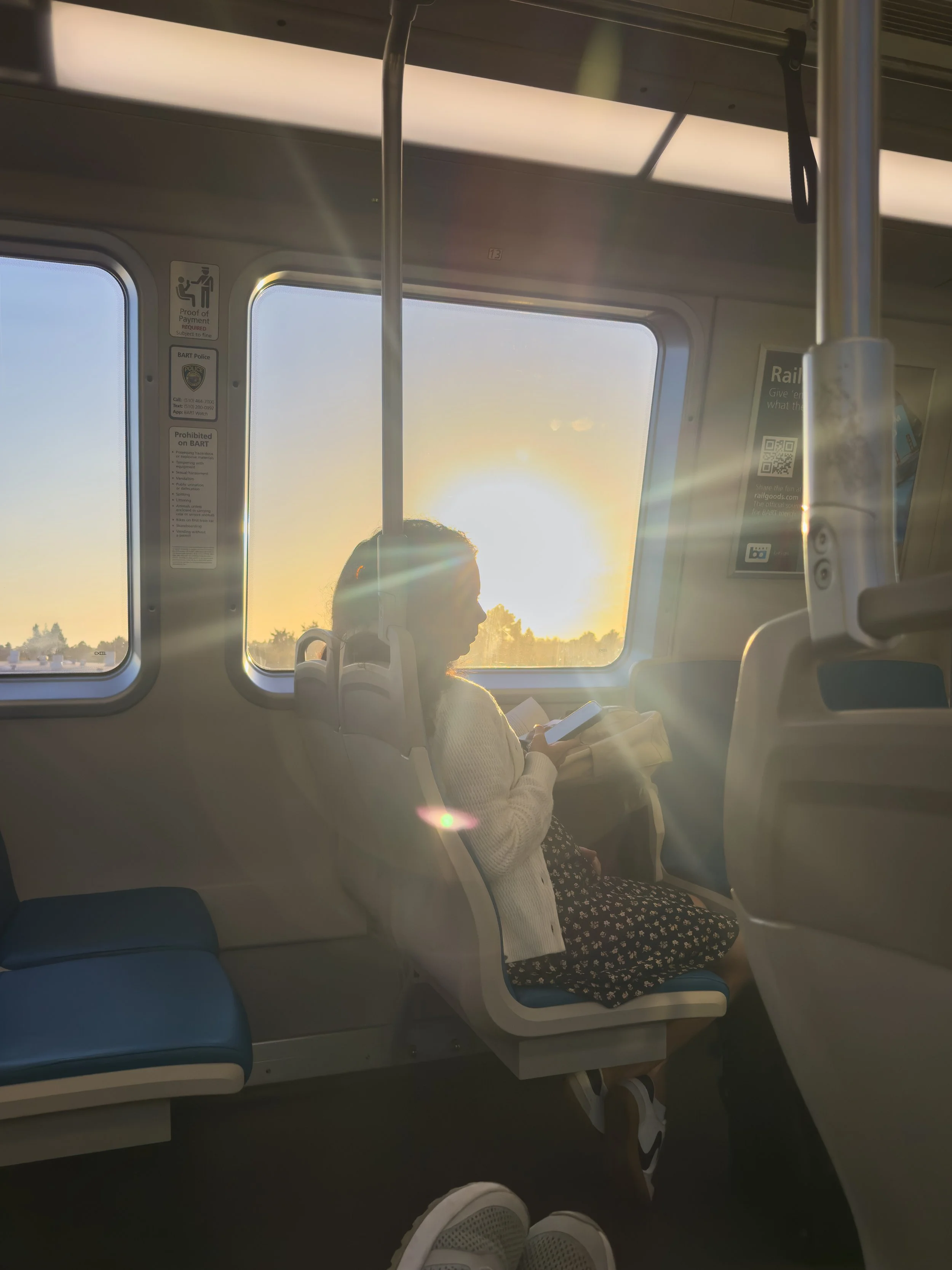 BART Train - Hayward, California