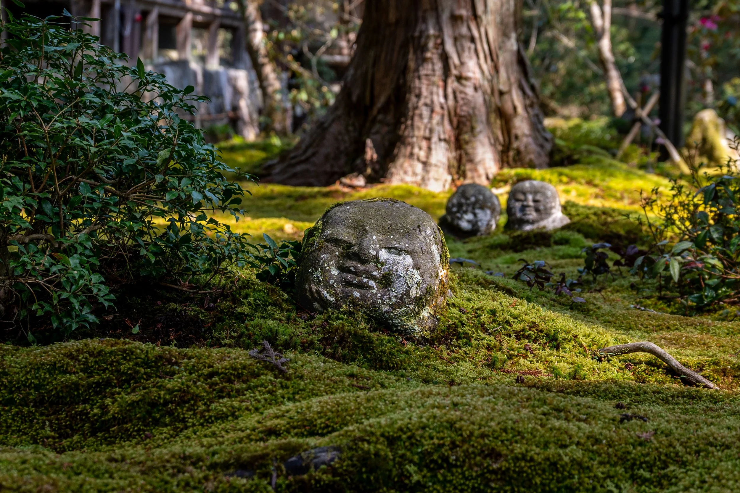 Sanzen-in Temple - Sakyo, Kyoto, Japan