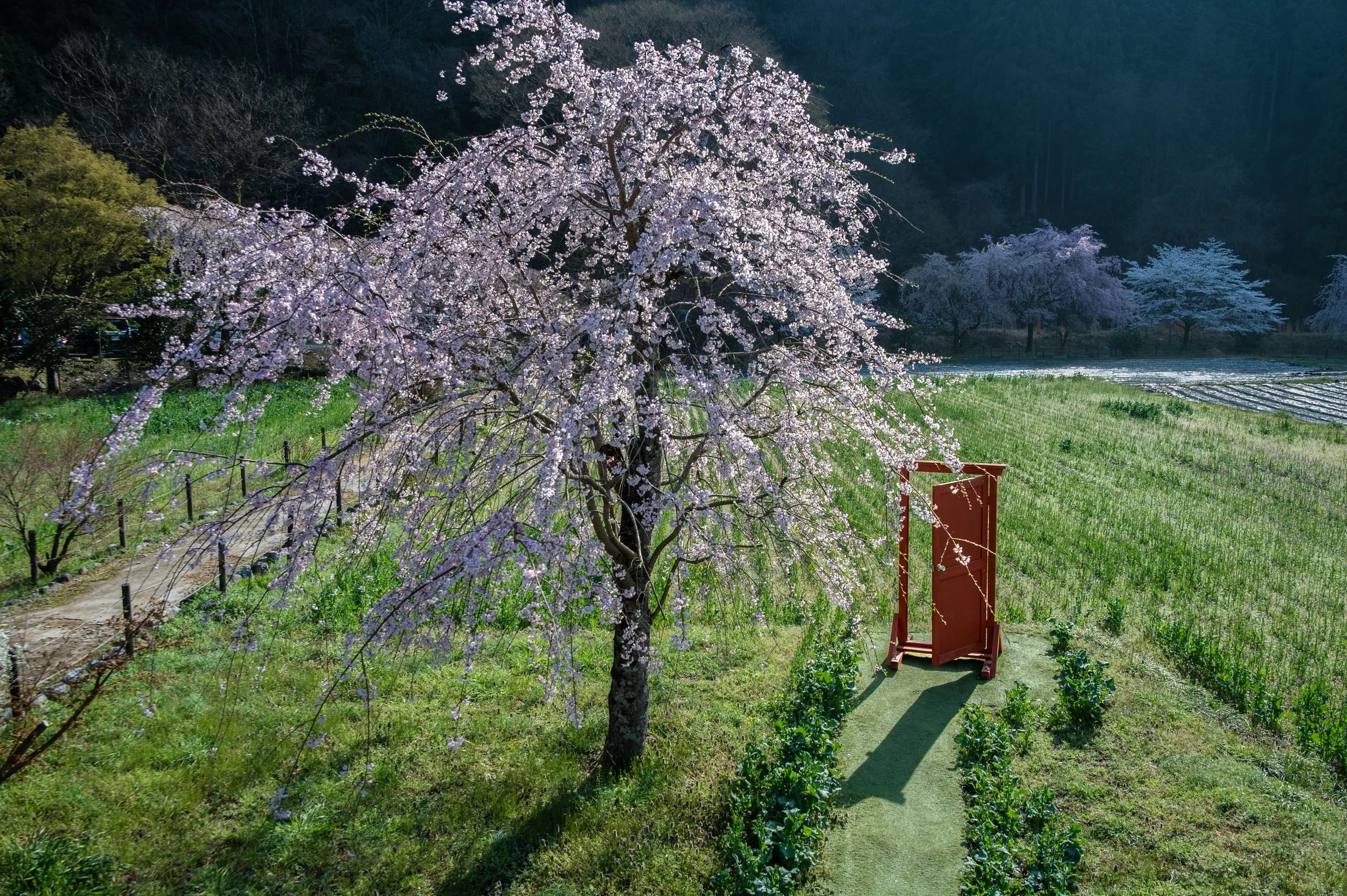 Sakyo, Kyoto, Japan