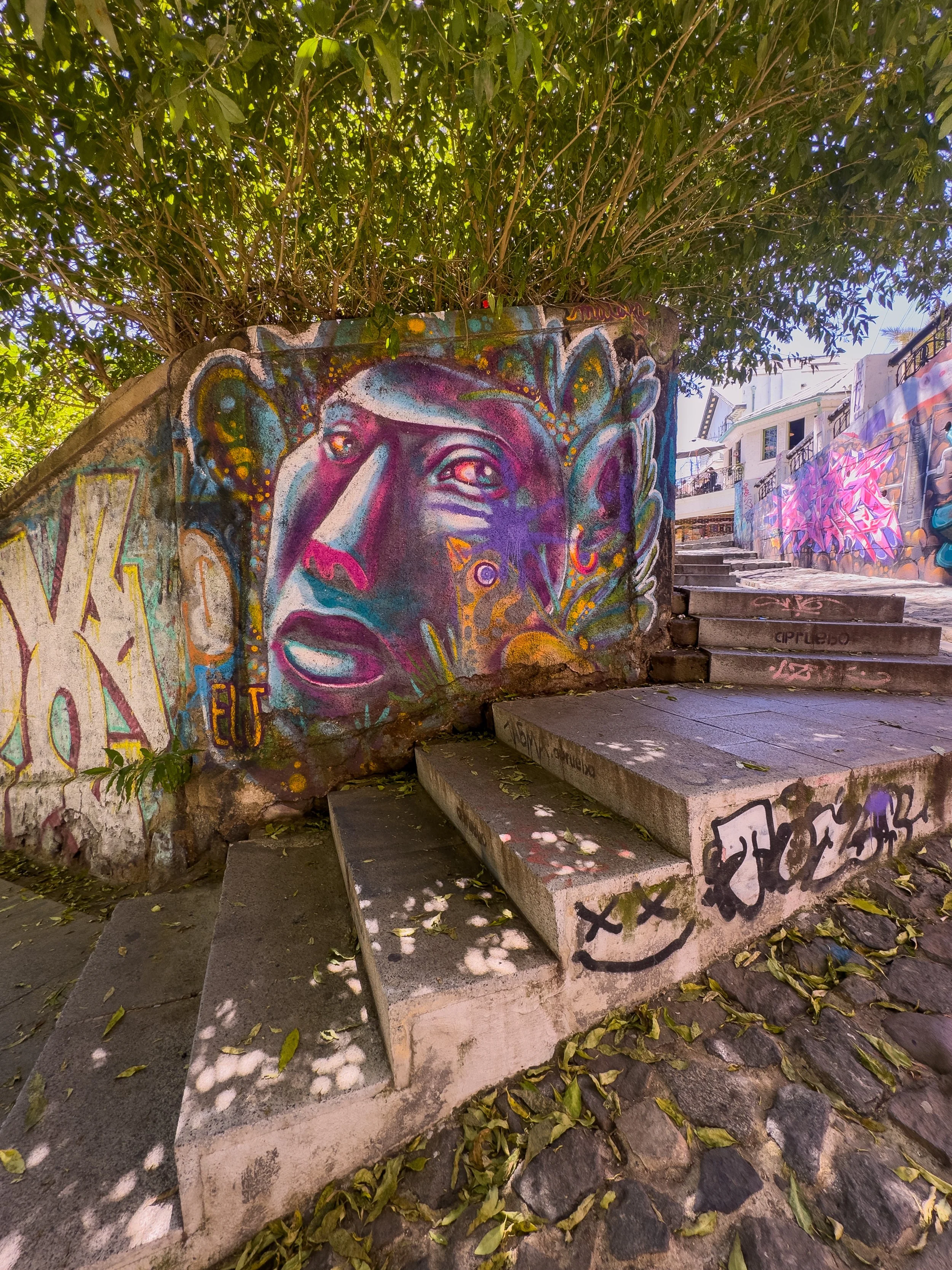 Cerro Alegre - Valparaíso, Chile