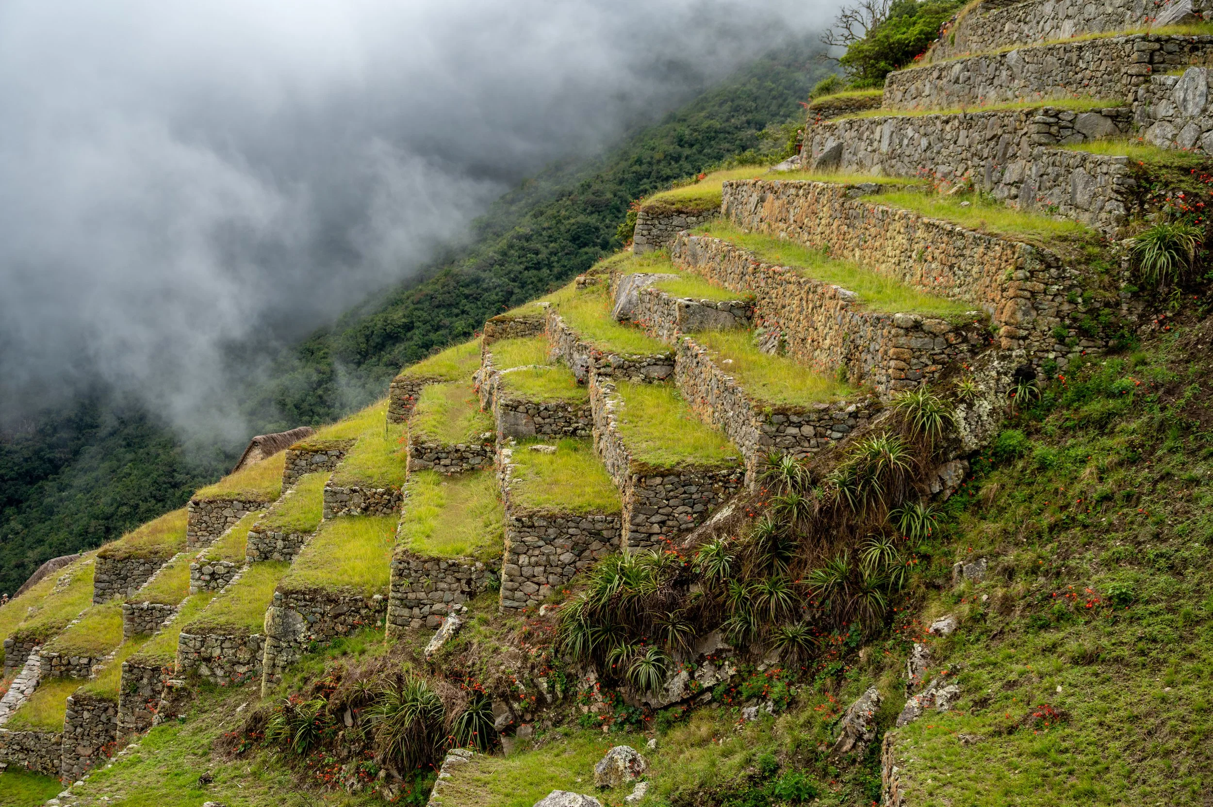 Machu Picchu, Peru