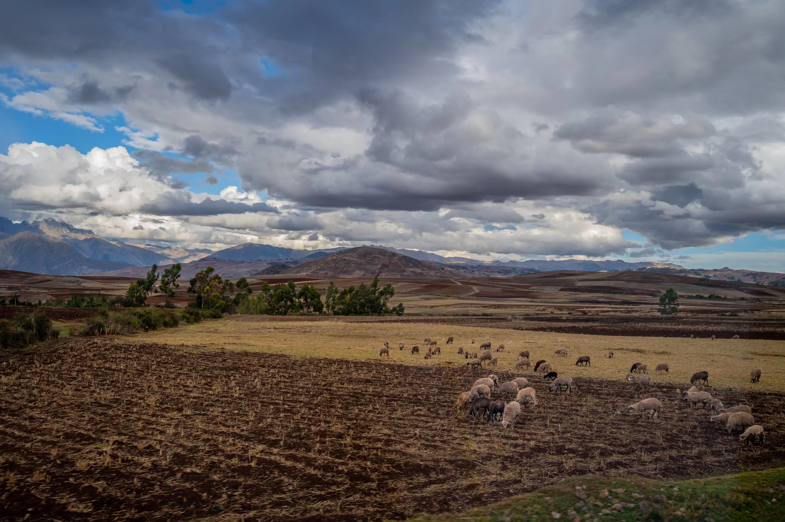Sacred Valley, Peru