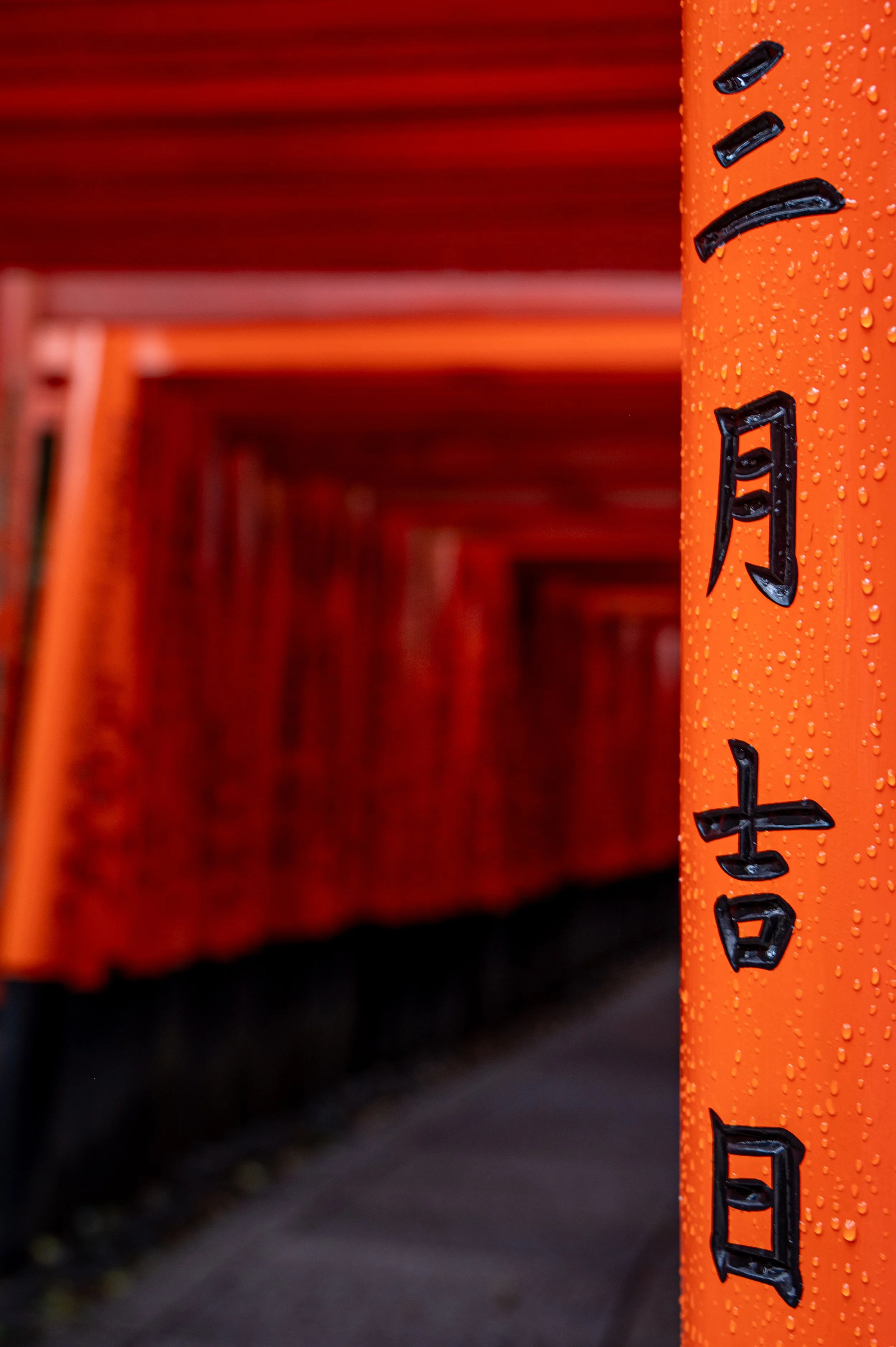 Fushimi Inari-taisha Shrine - Fushimi, Kyoto, Japan