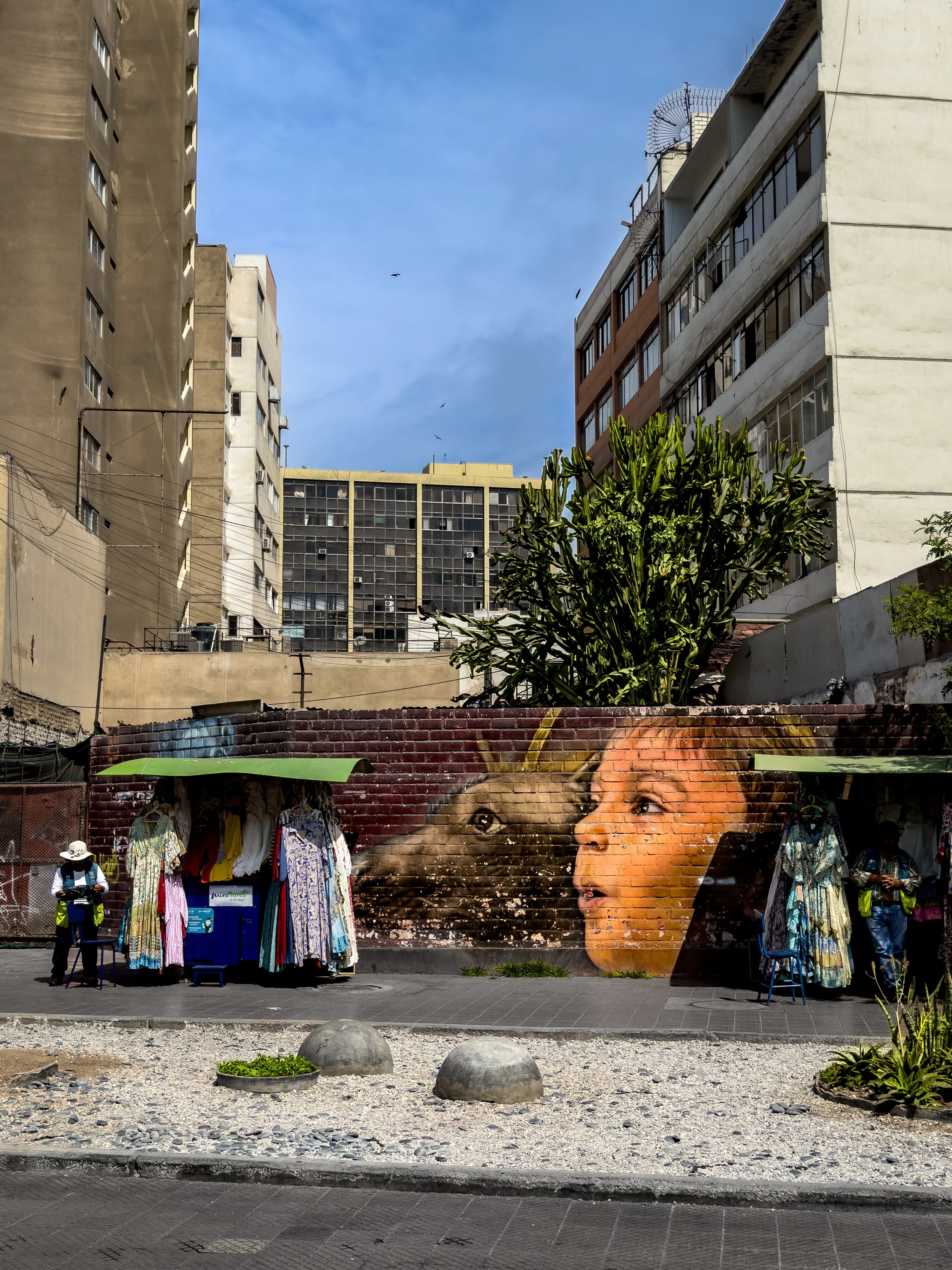 Parque Kennedy - Lima, Peru