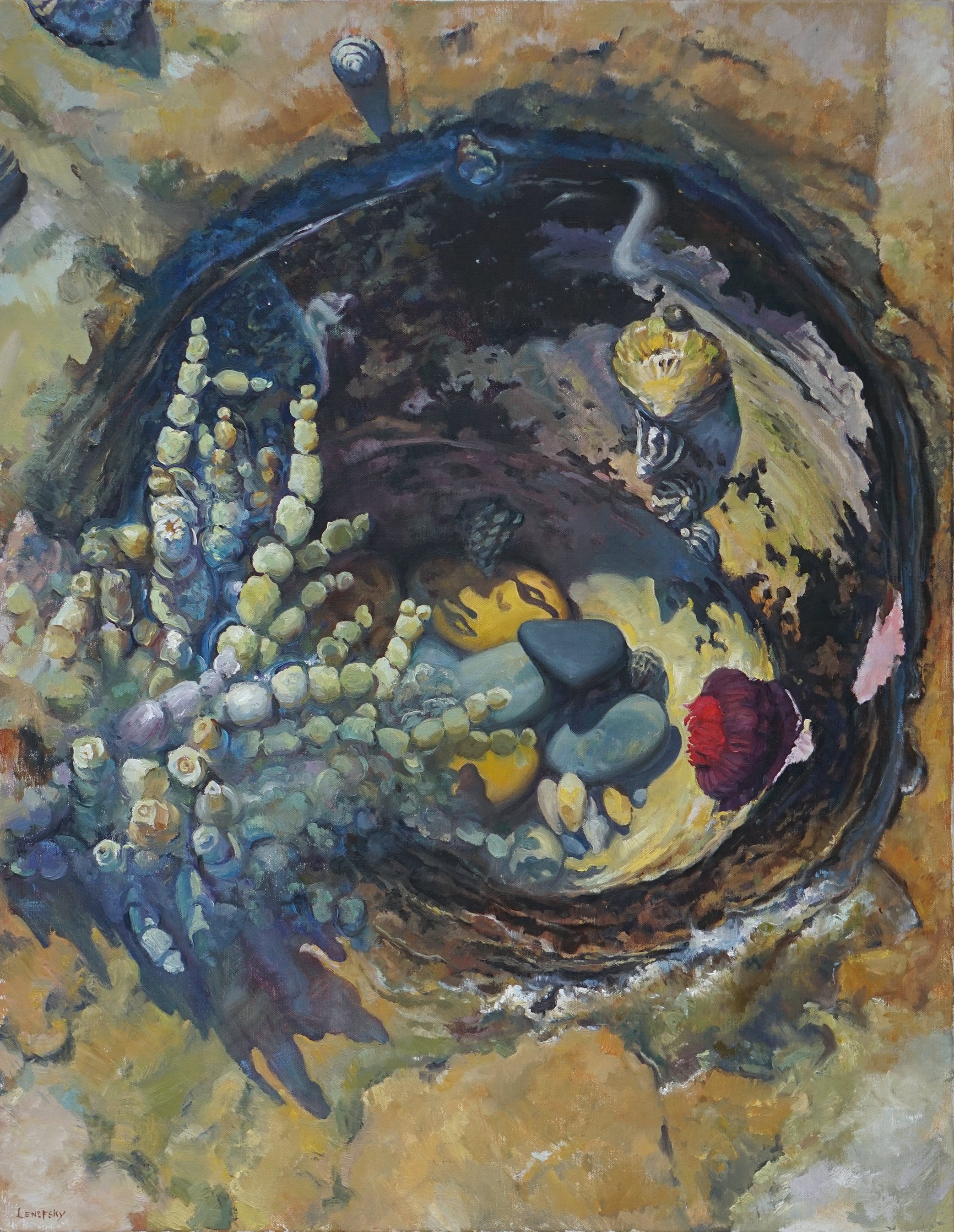 Sandon Point Tidepool 02 • oil on linen