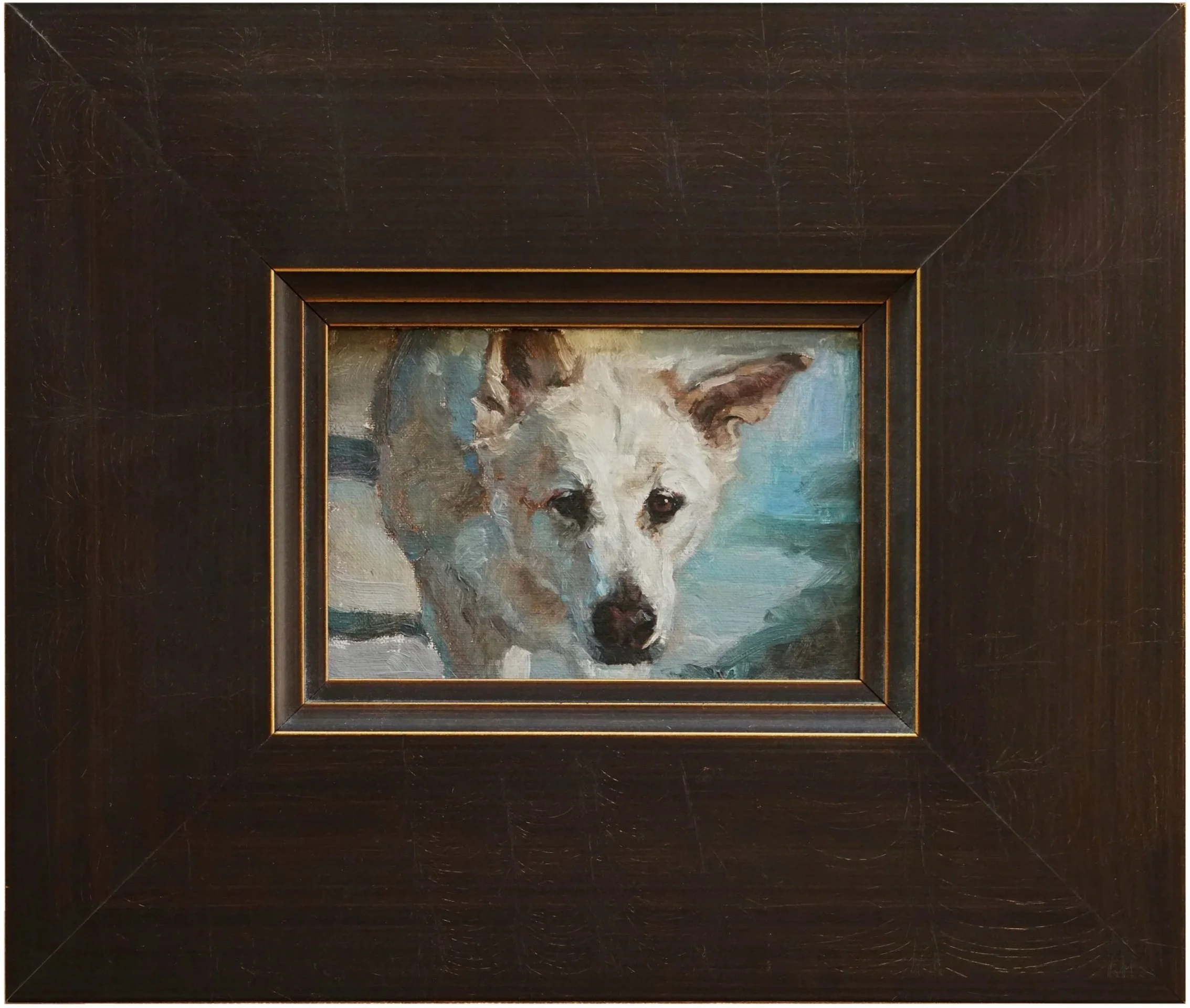 ReefDog_framed.jpg