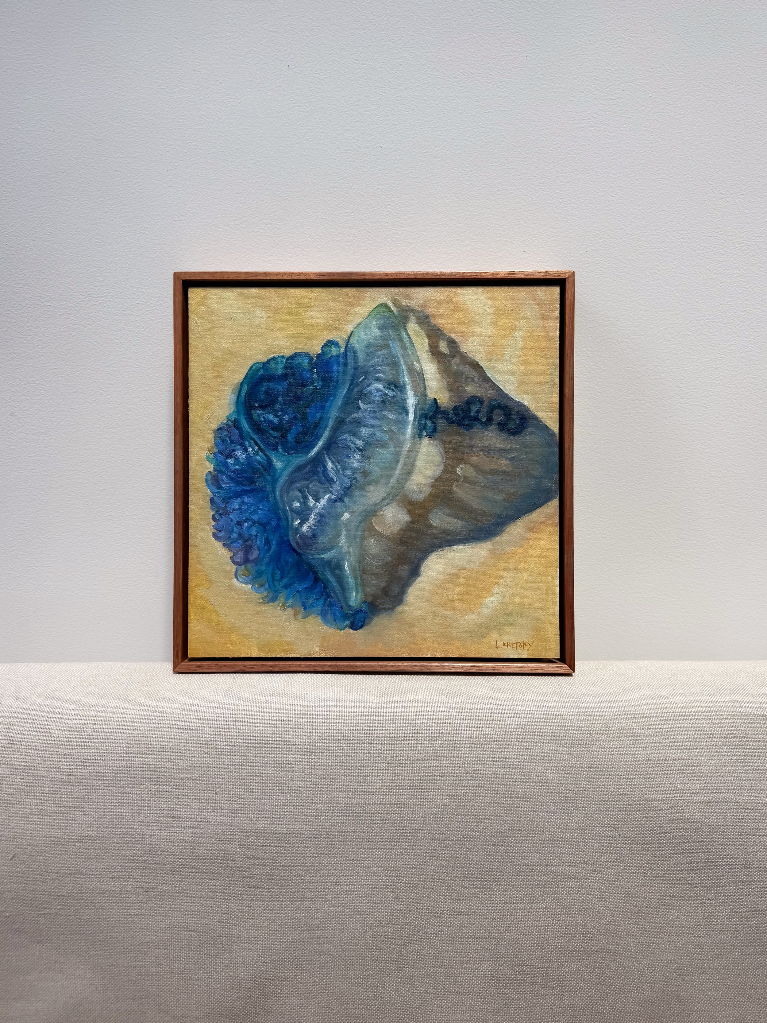 Bluebottle_frame.jpg