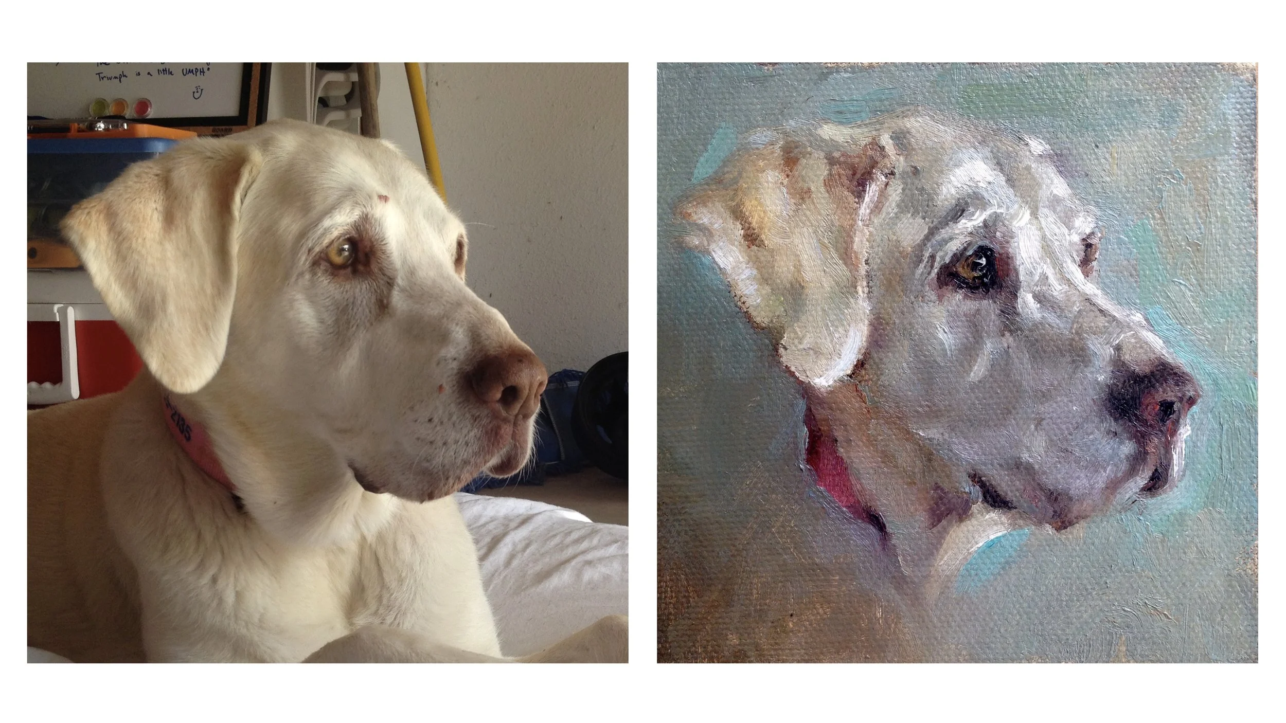 Lab Petrait Painting with Photo Reference