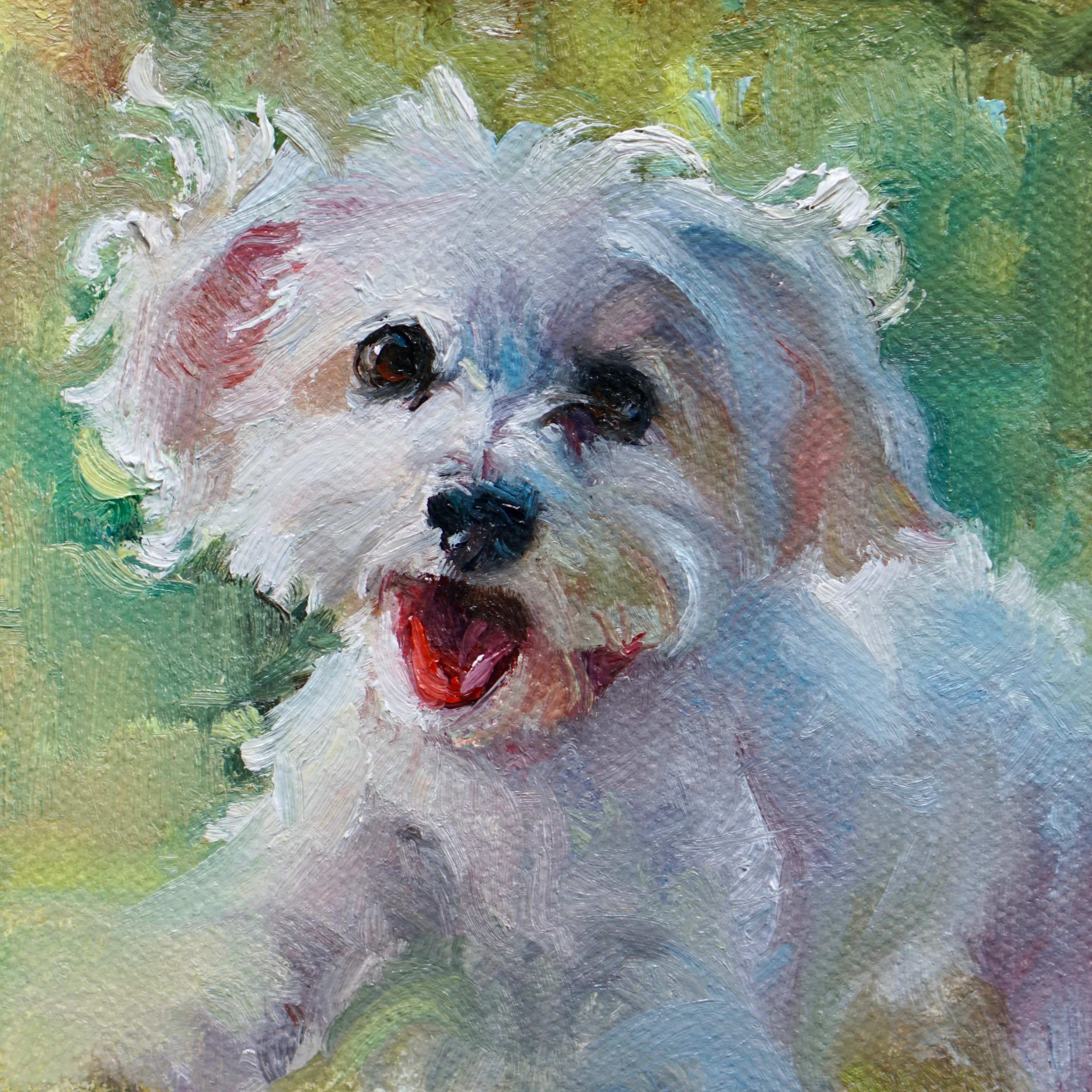 Daisy