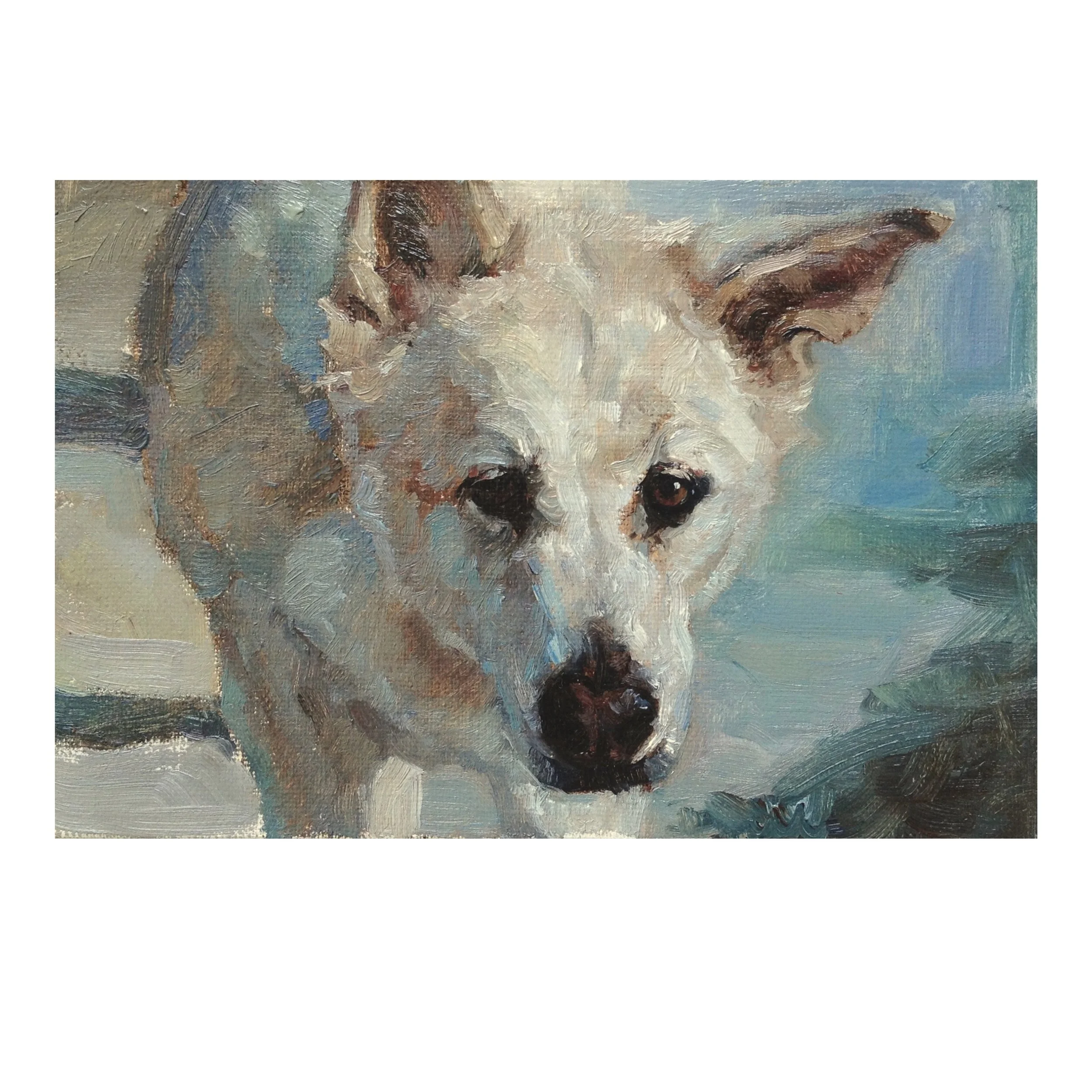 Reef Dog • sold
