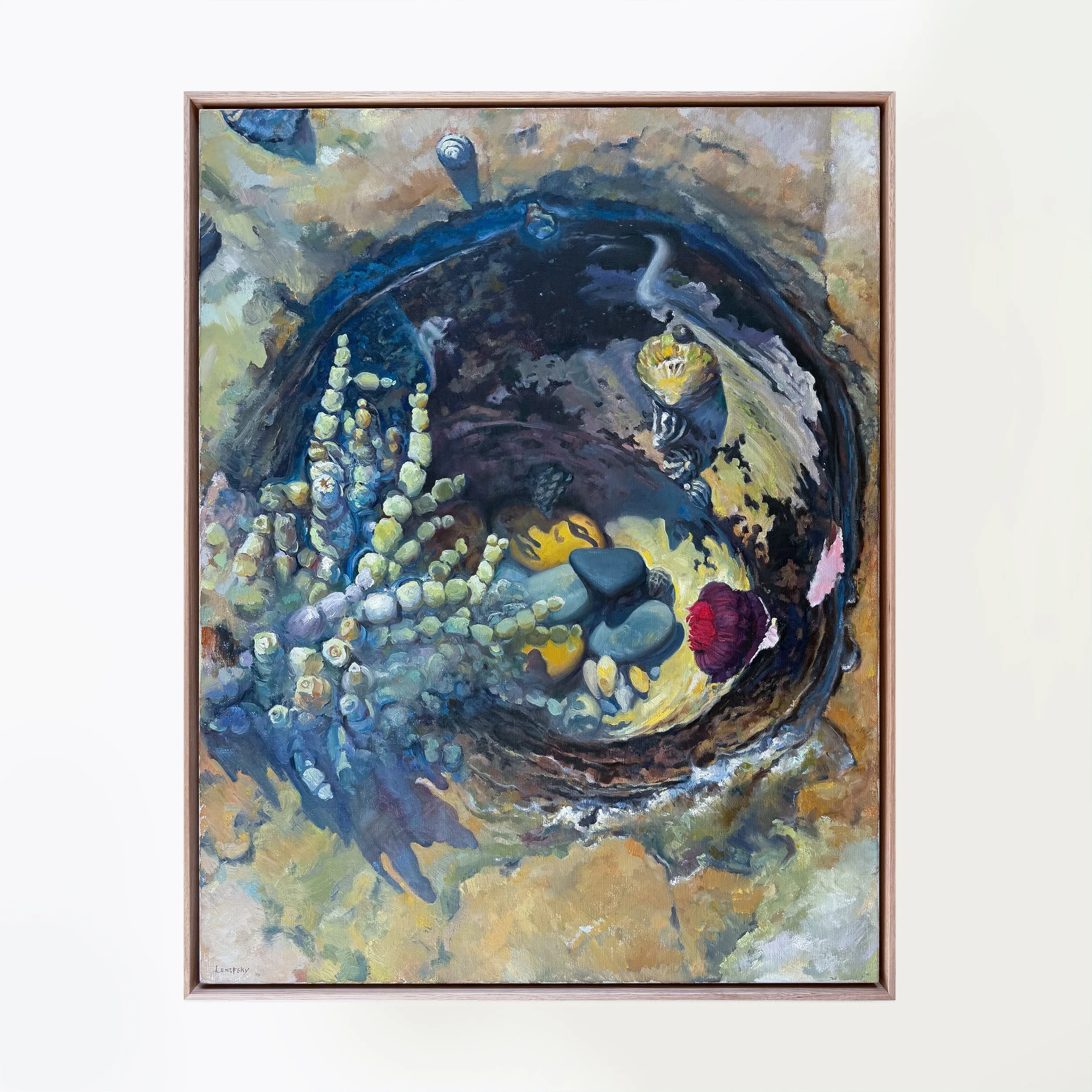 Sandon Point Tidepool 2 • available