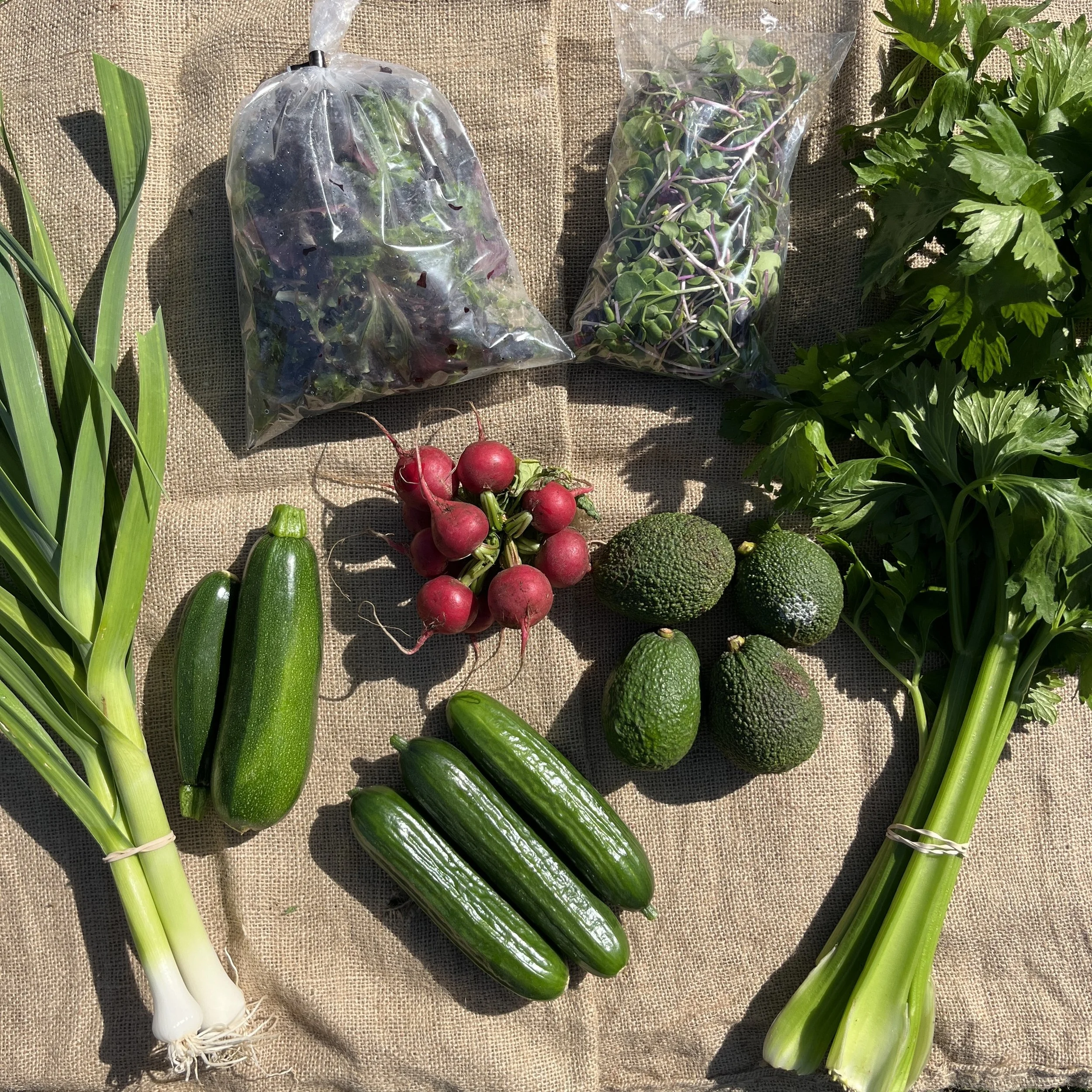Summer Vege Bag - Week 1