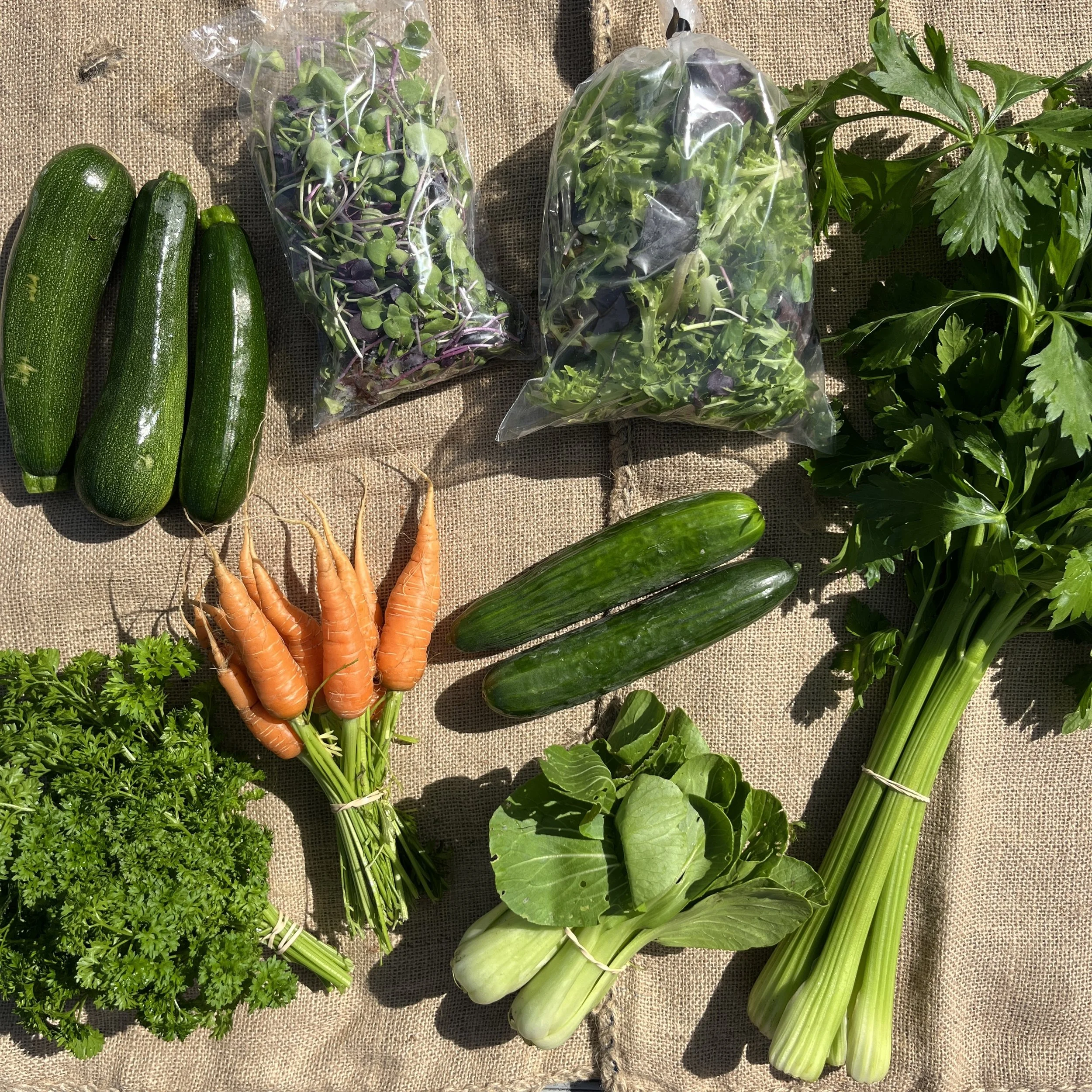 Summer Vege Bag - Week 3