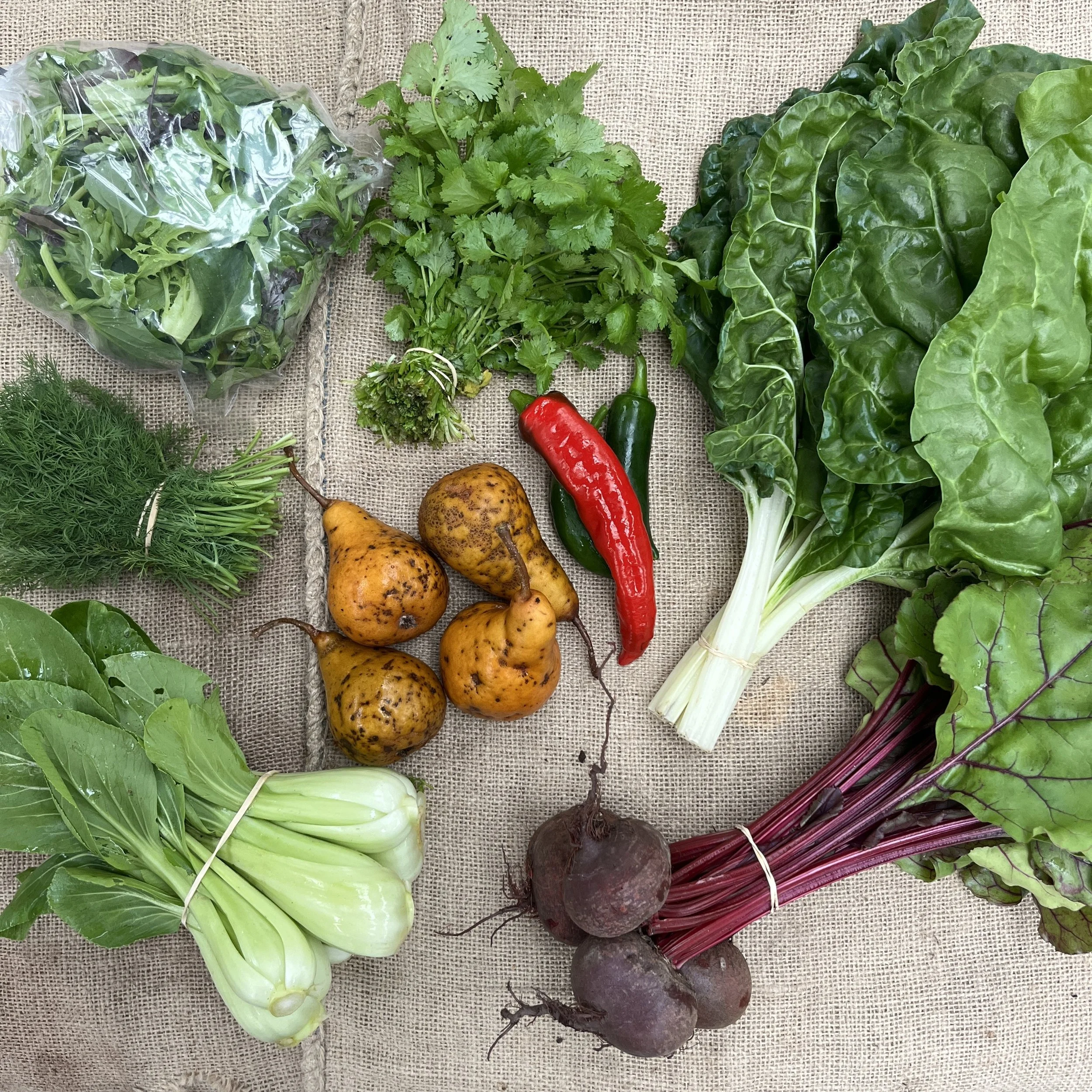 Autumn Vege Bag - Week 8