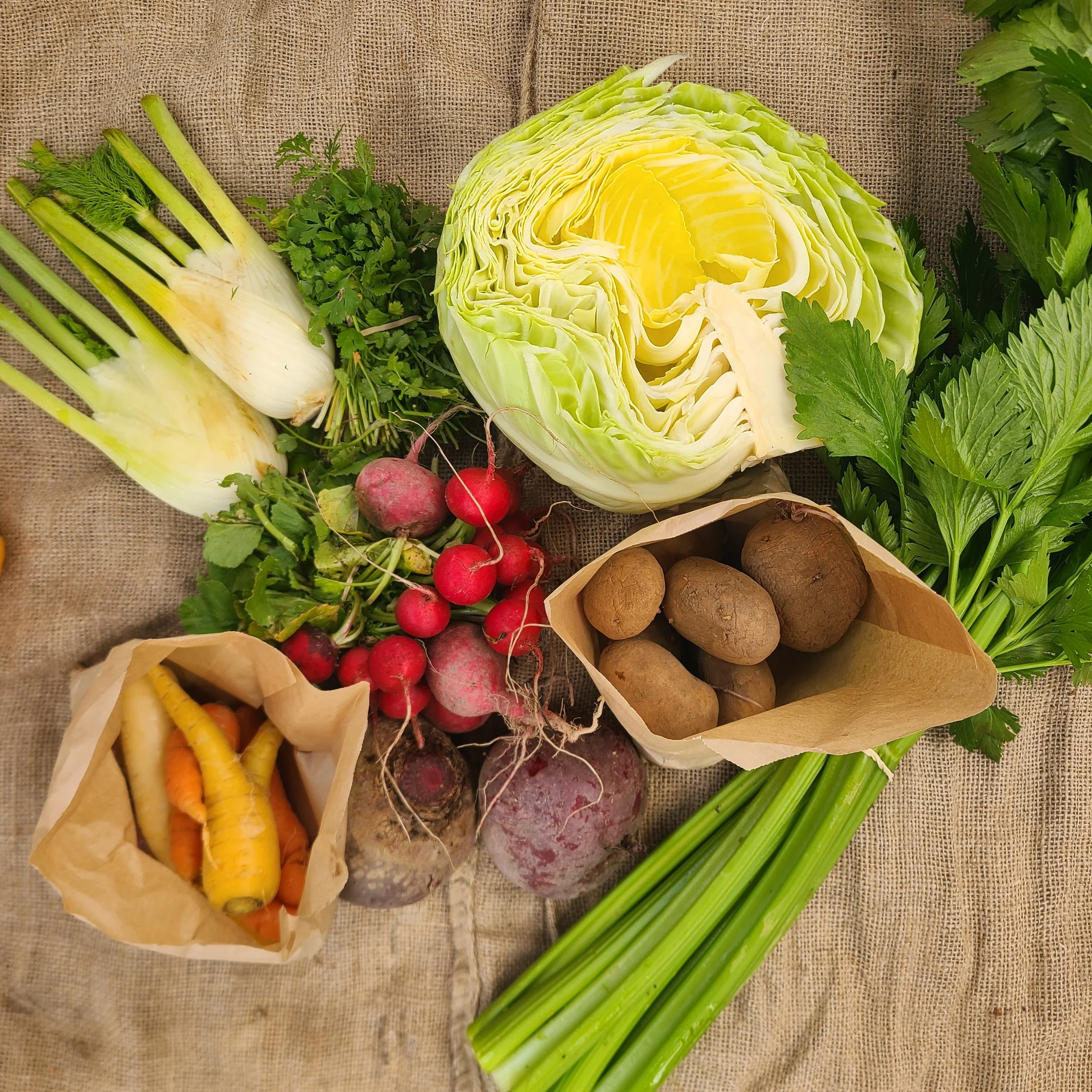 Winter Vege Bag - Week 9