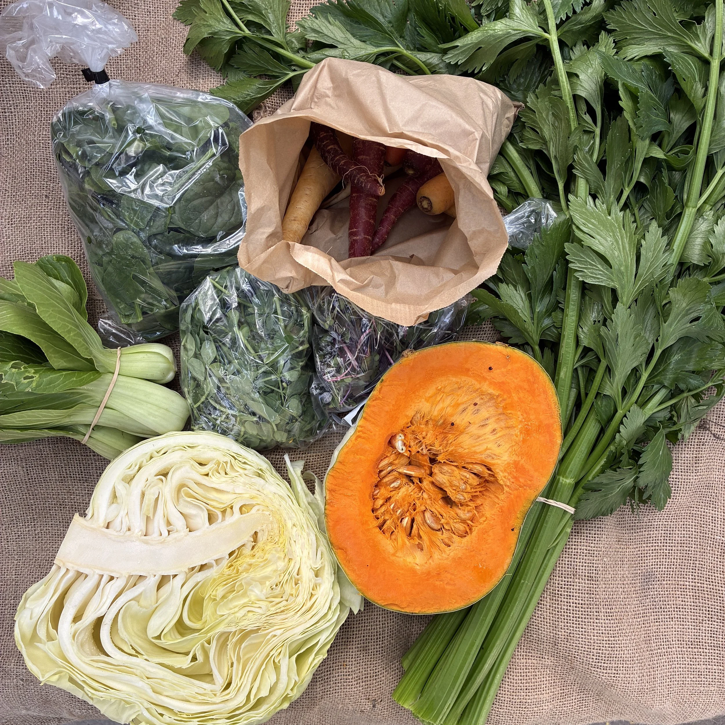Spring Vege Bag - Week 1