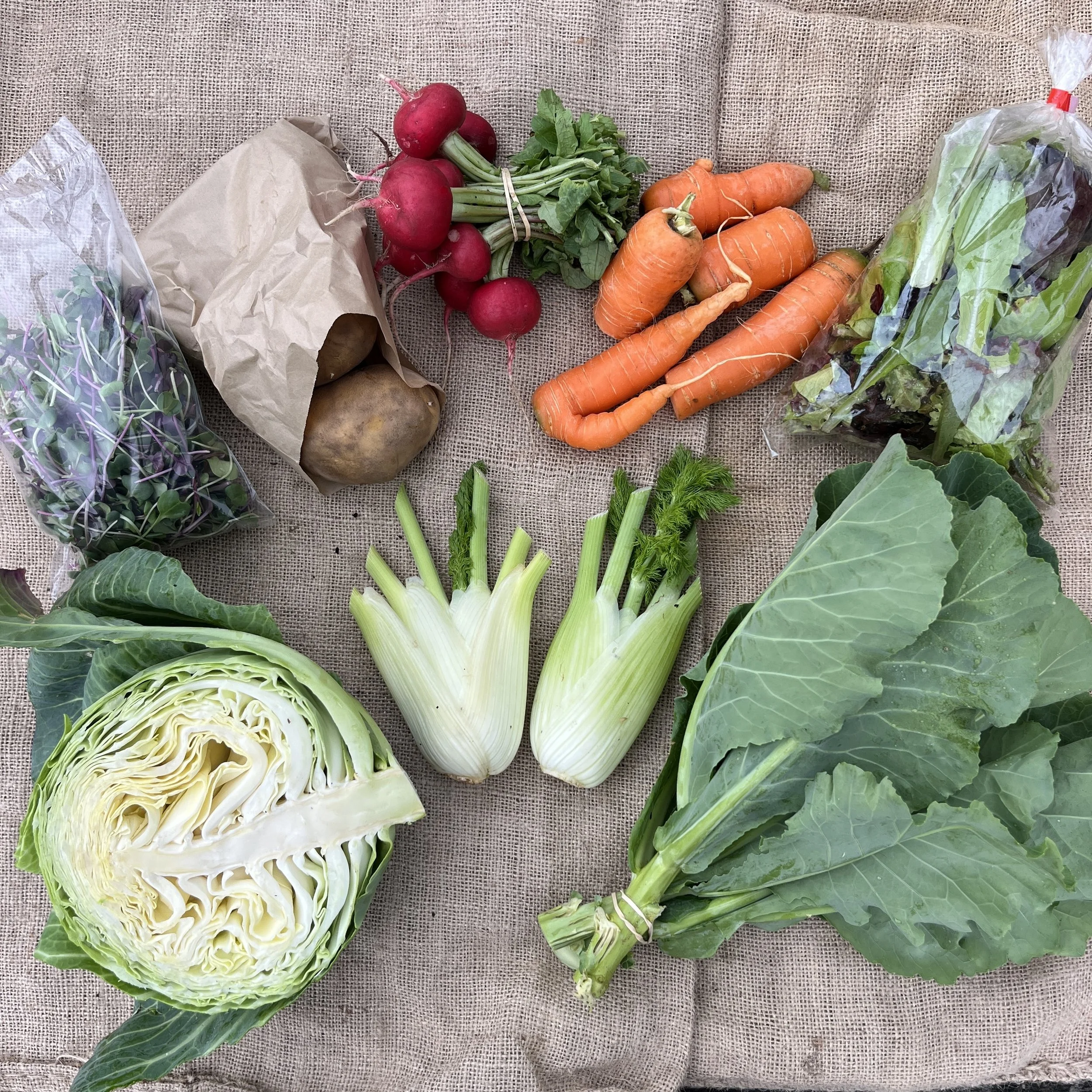 Spring Vege Bag - Week 4 — crooked vege
