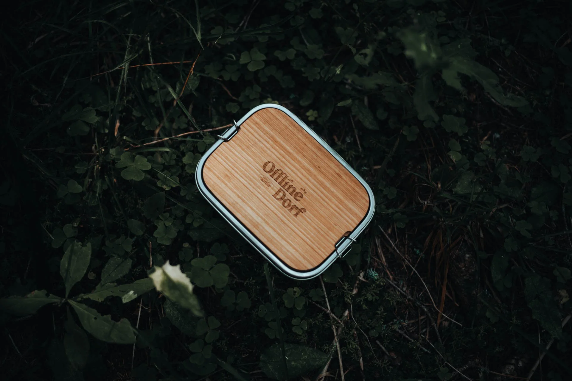 L1007525_©BUEROLUDWINA 3.jpg