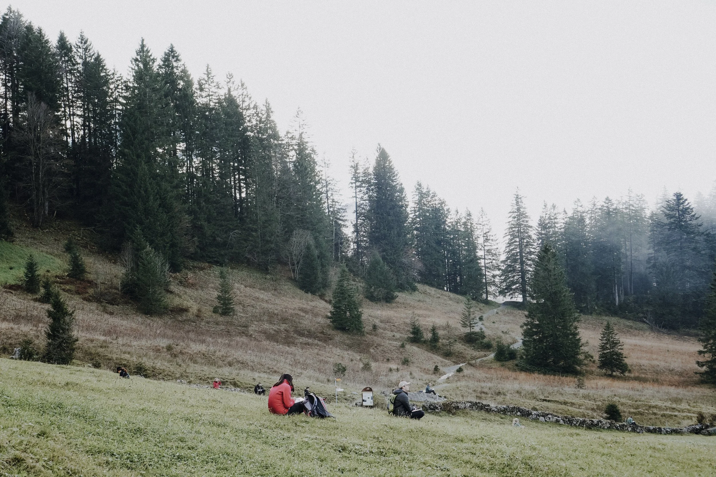(c)Offline_Hikes-85.jpg