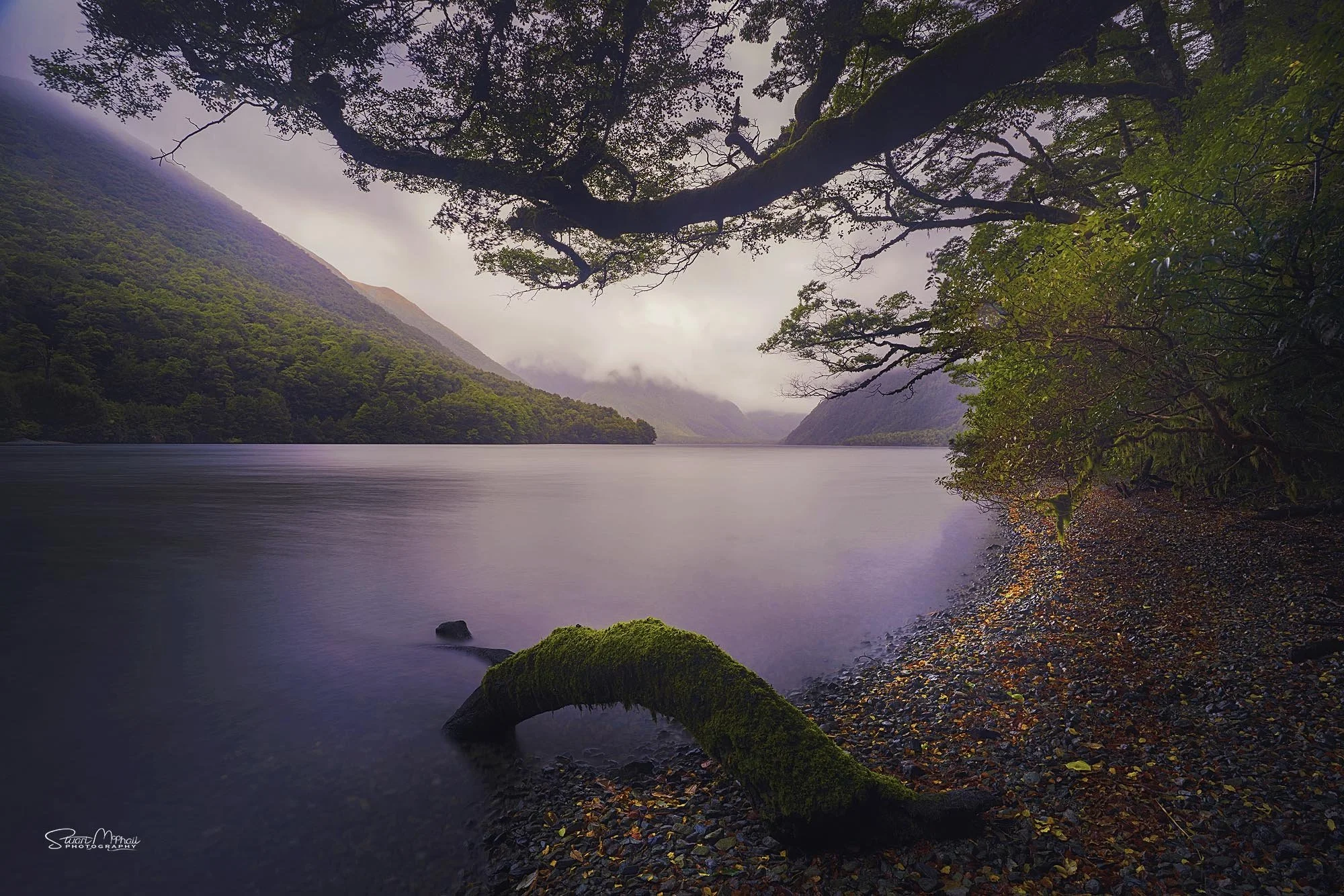 Lake Gunn - Fiordland