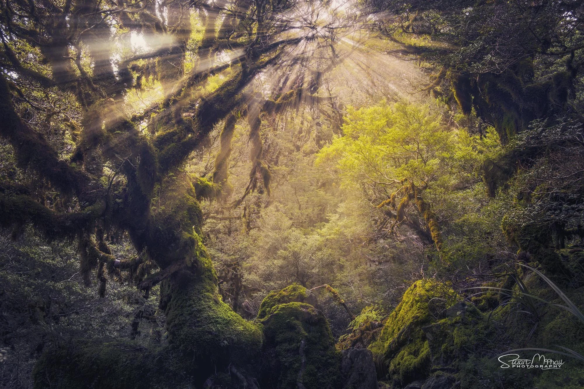 Routeburn Track - Composite Image