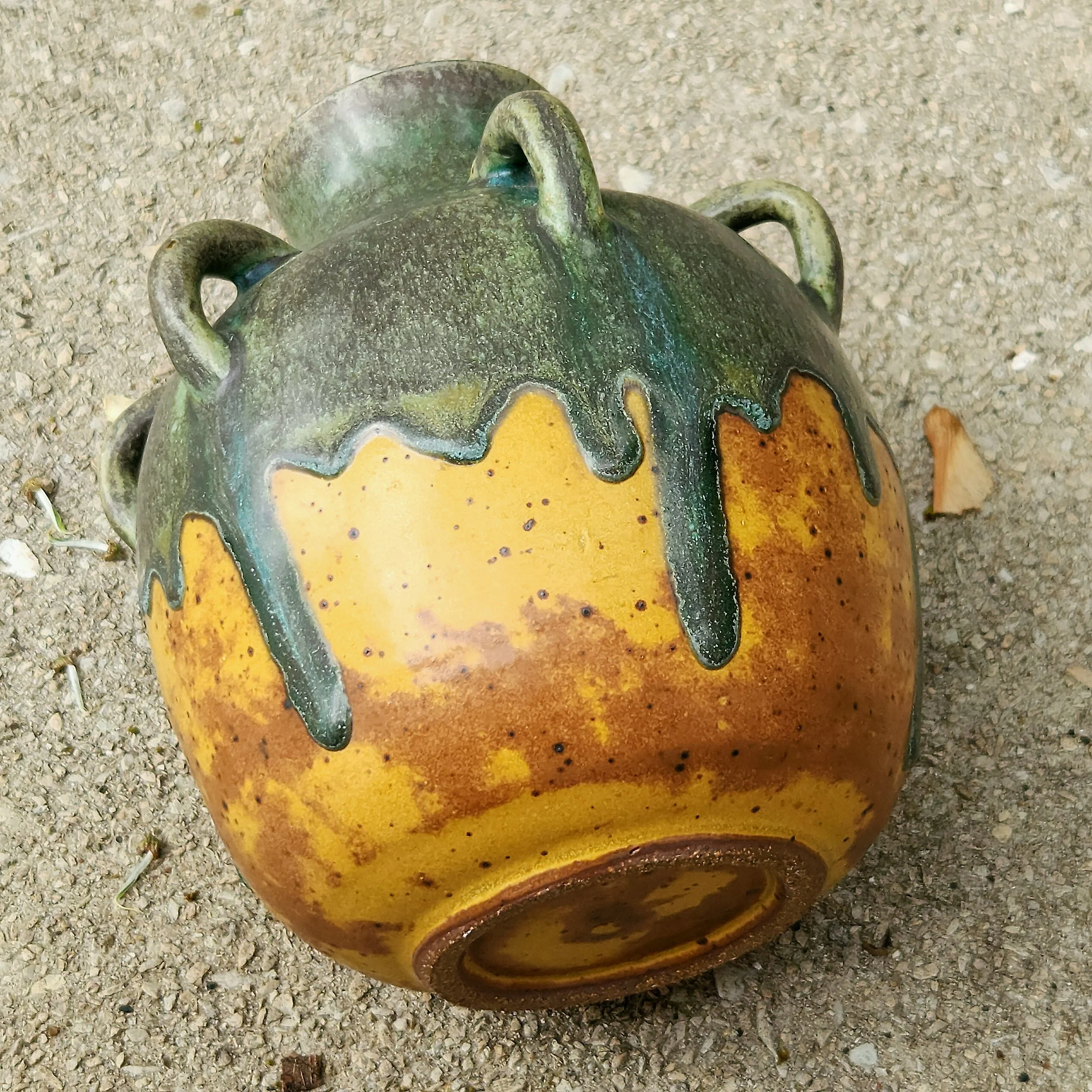20260519_144526.jpg