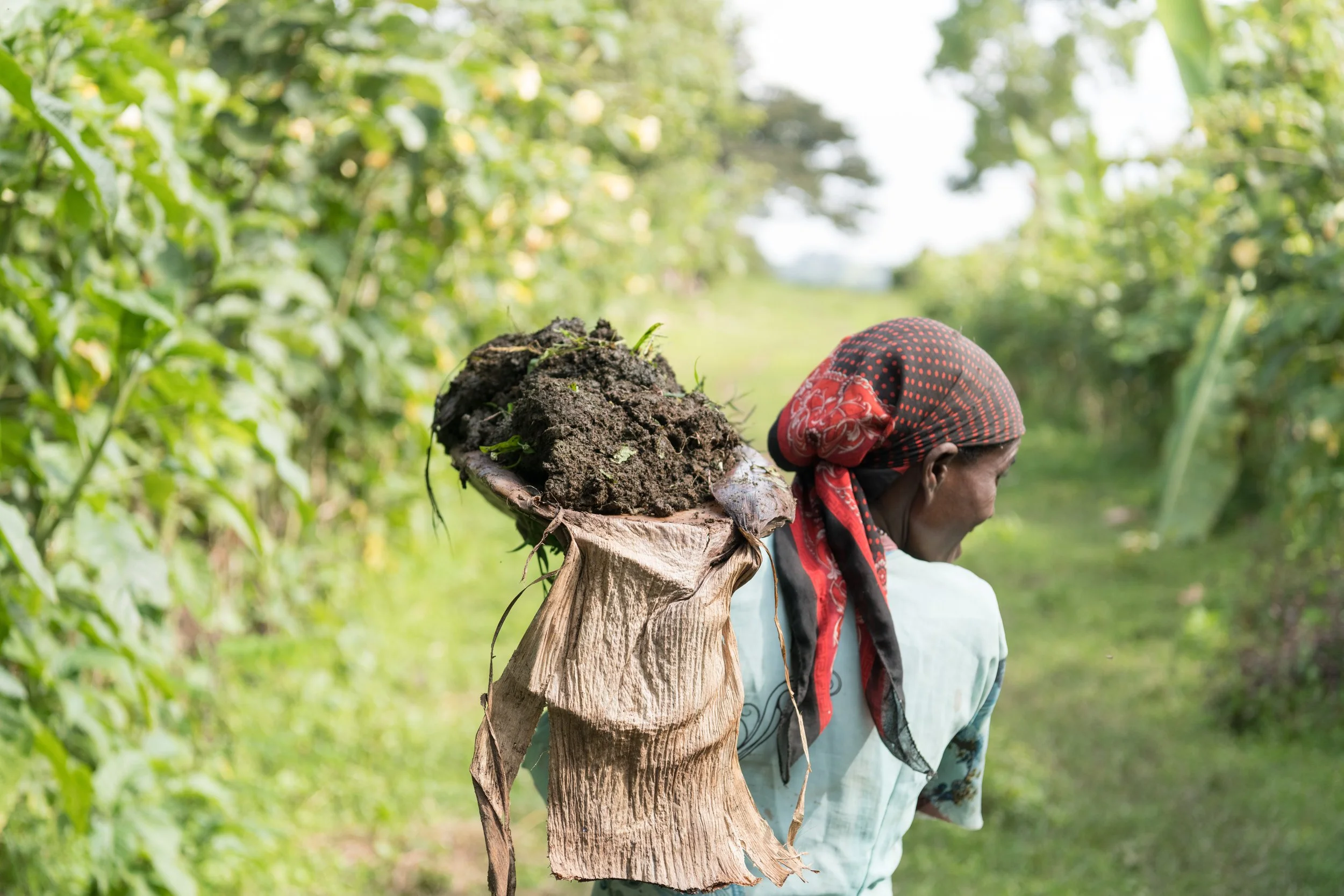 BIO NACHHALTIG FAIR 5.JPG