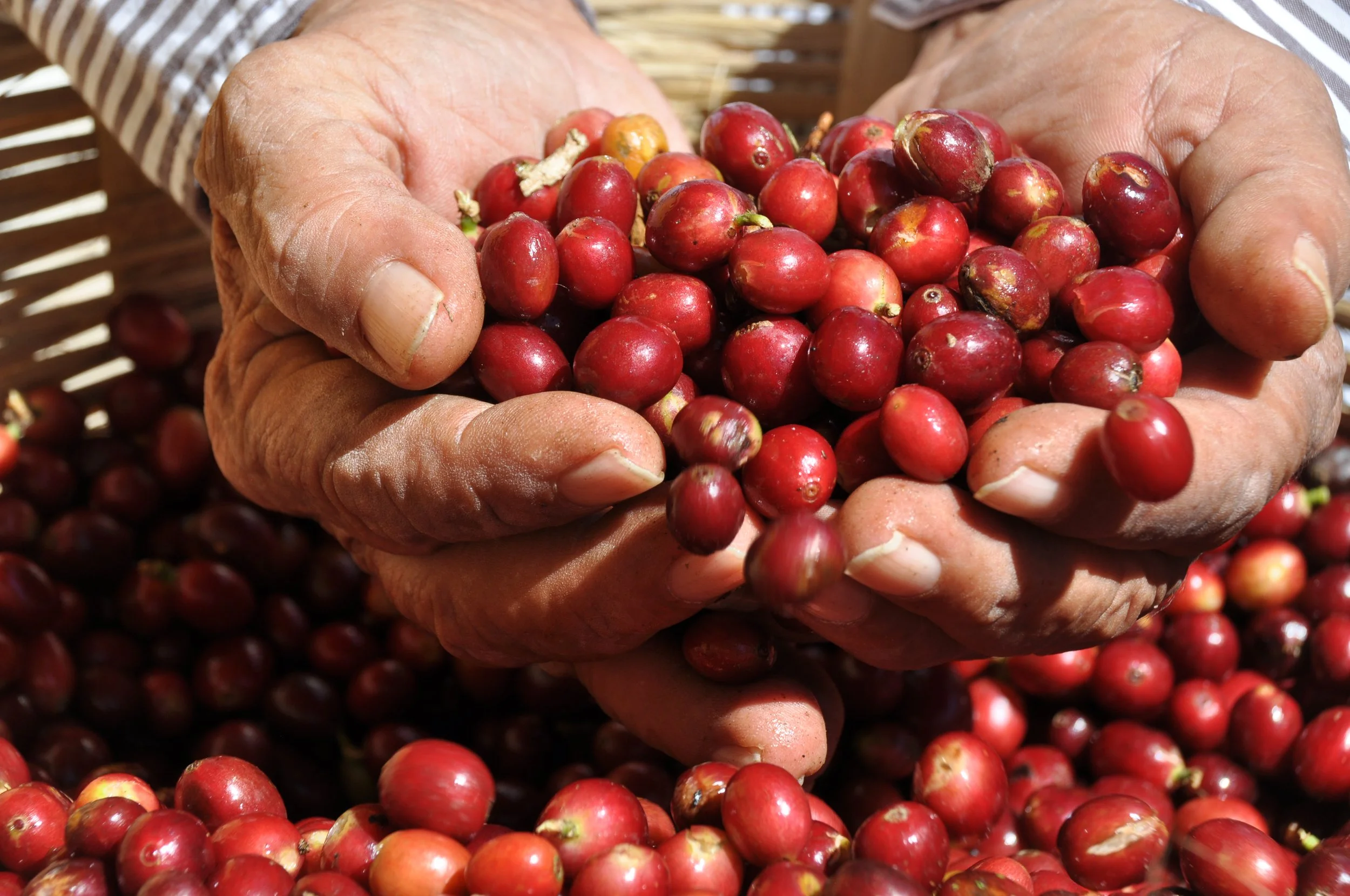 BIO NACHHALTIG FAIR 2.JPG