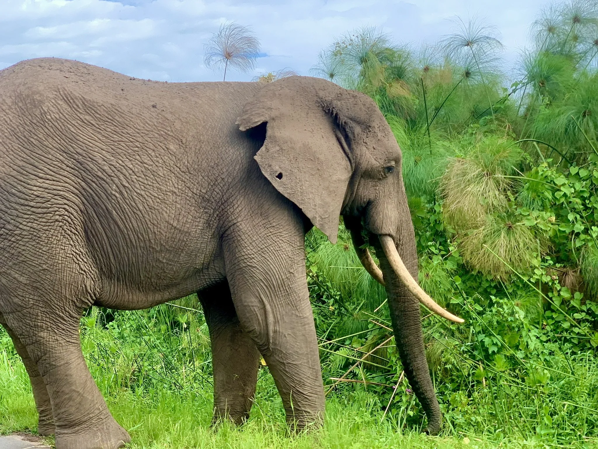 BIO NACHHALTIG FAIR 3.JPEG