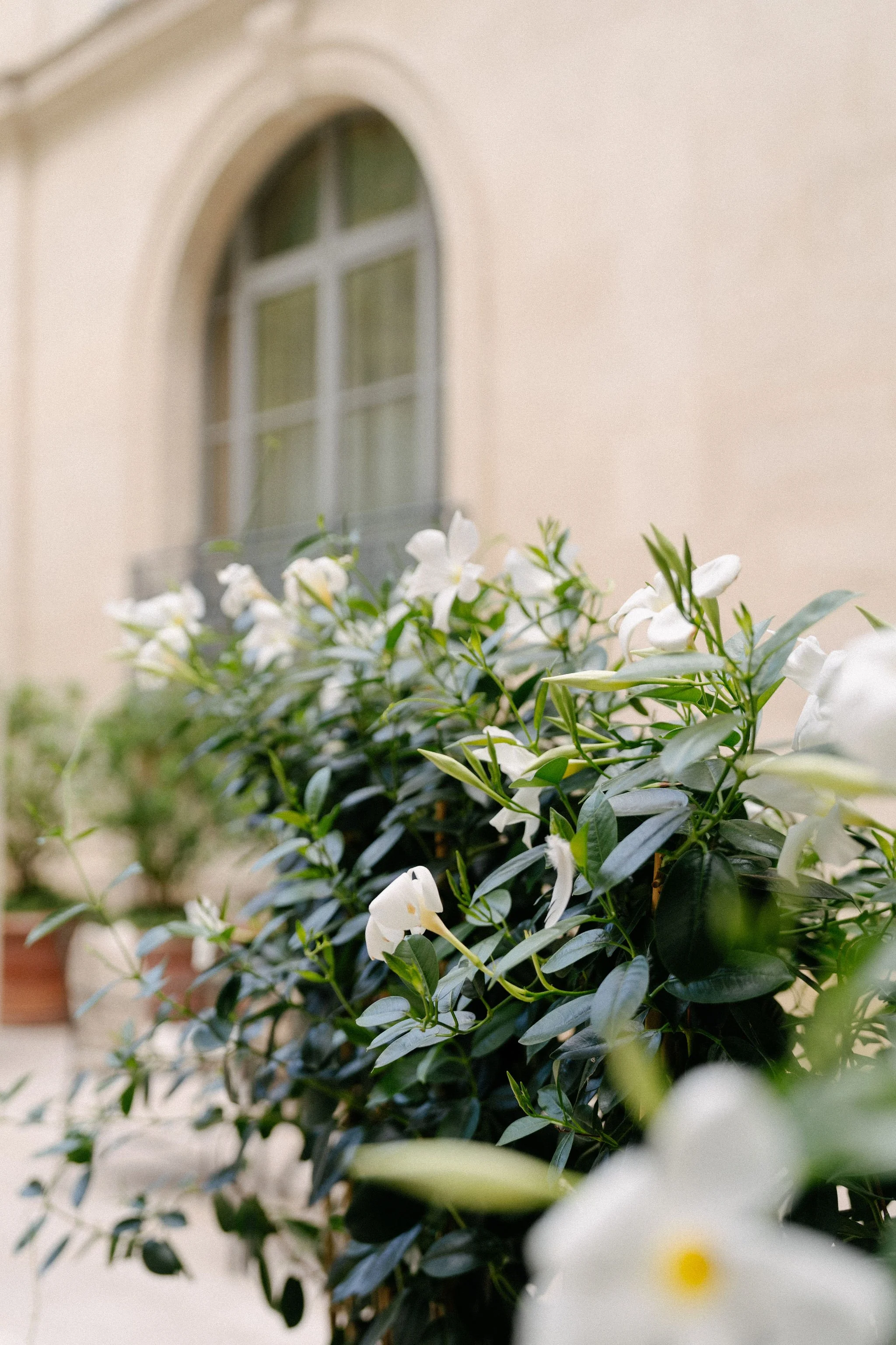 paris-wedding-photography-_118_H&A-CD-RECEPTION209.jpg