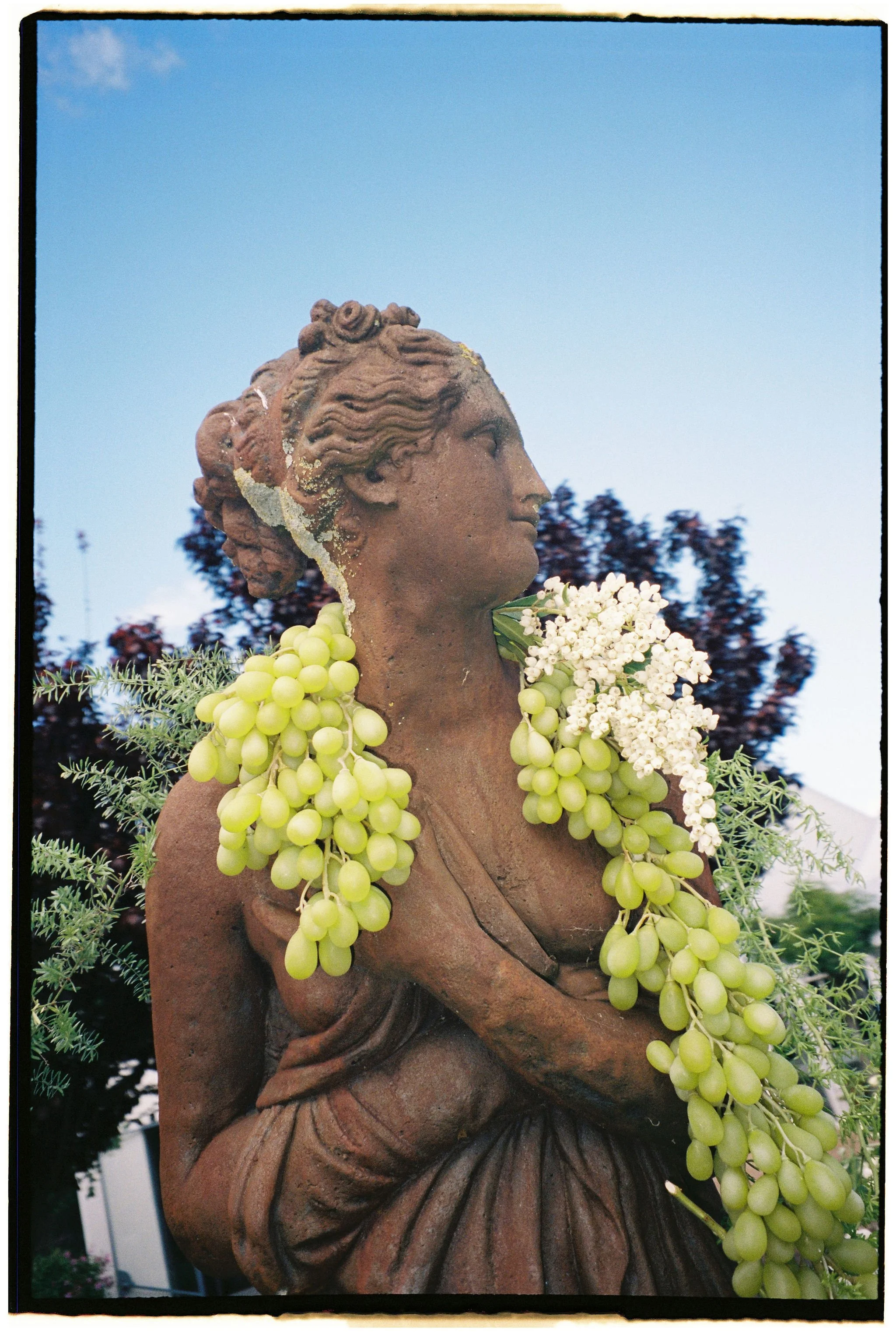 elsie-bradan-wedding-photography-1_016_H&A-EB-FILM-016.jpg