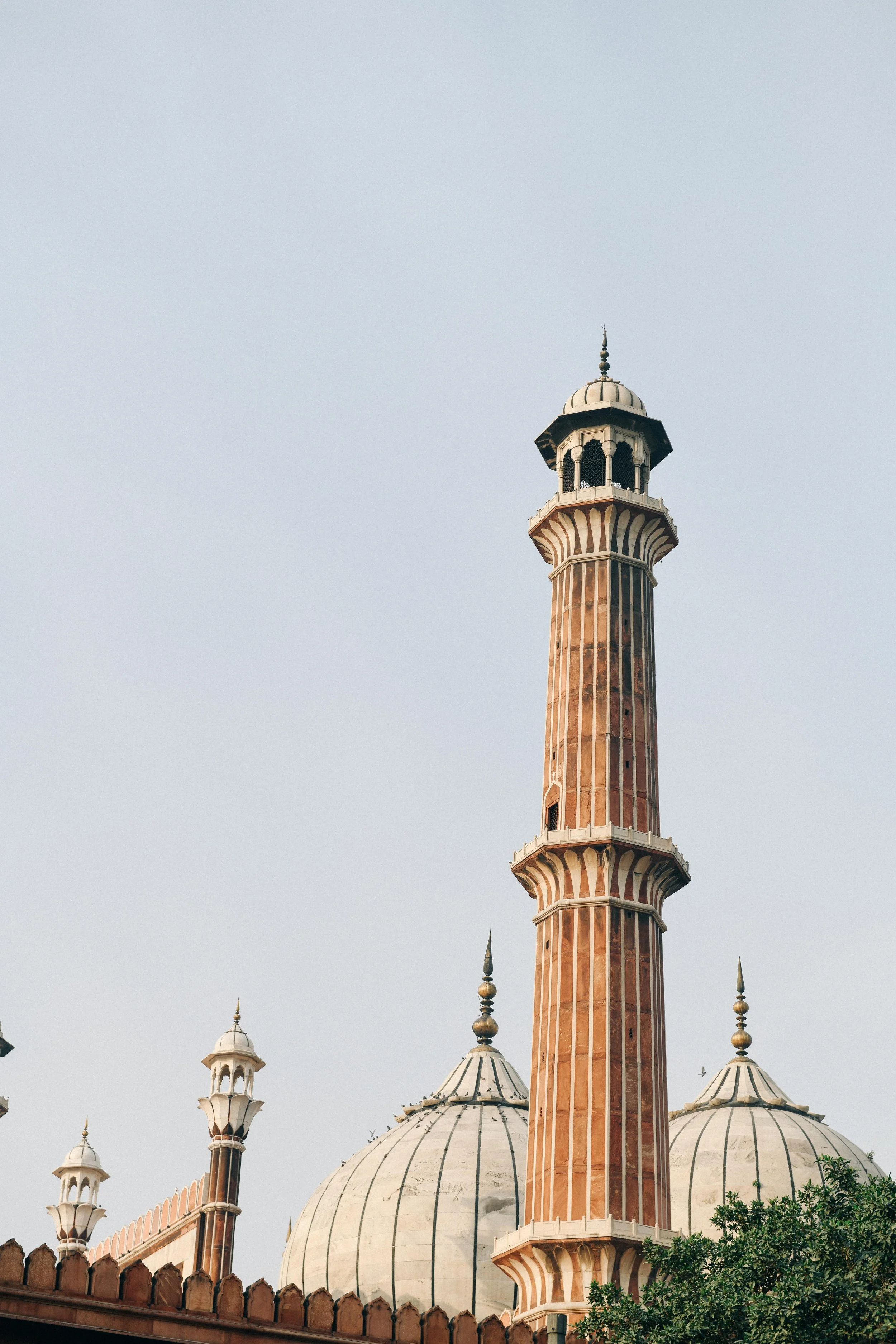 New_Delhi_Singapore_Airlines-17.jpg