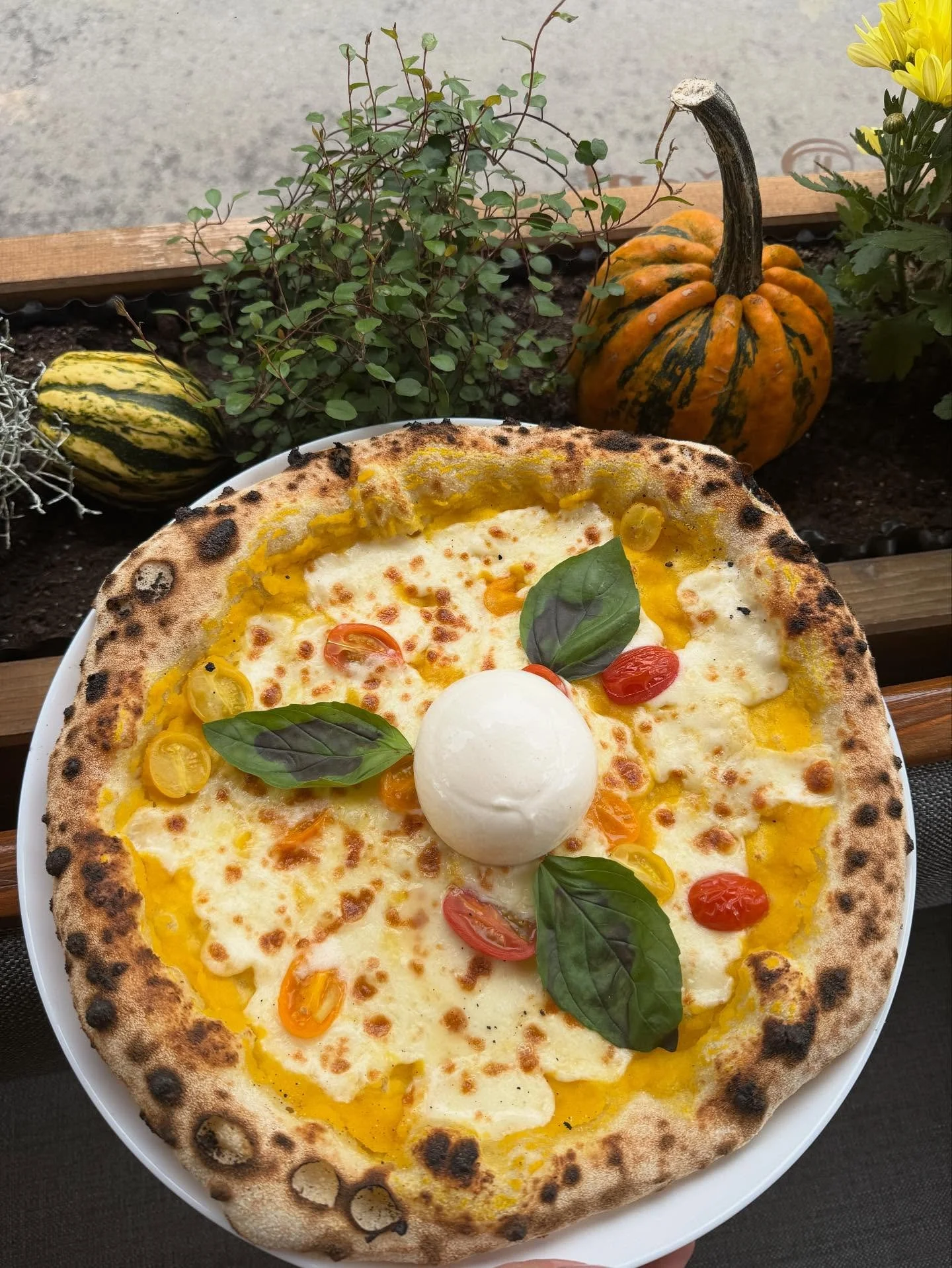 🎃 Halloween sa bl&iacute;ži a my už m&aacute;me chuť na jeseň! 🍂
Pripravili sme pre v&aacute;s niečo &scaron;peci&aacute;lne &mdash; tekvicov&yacute; z&aacute;klad na pizzu! 🧡
Kr&eacute;mov&aacute; tekvica, roztopena mozzarella,&scaron;ťavnat&eacu